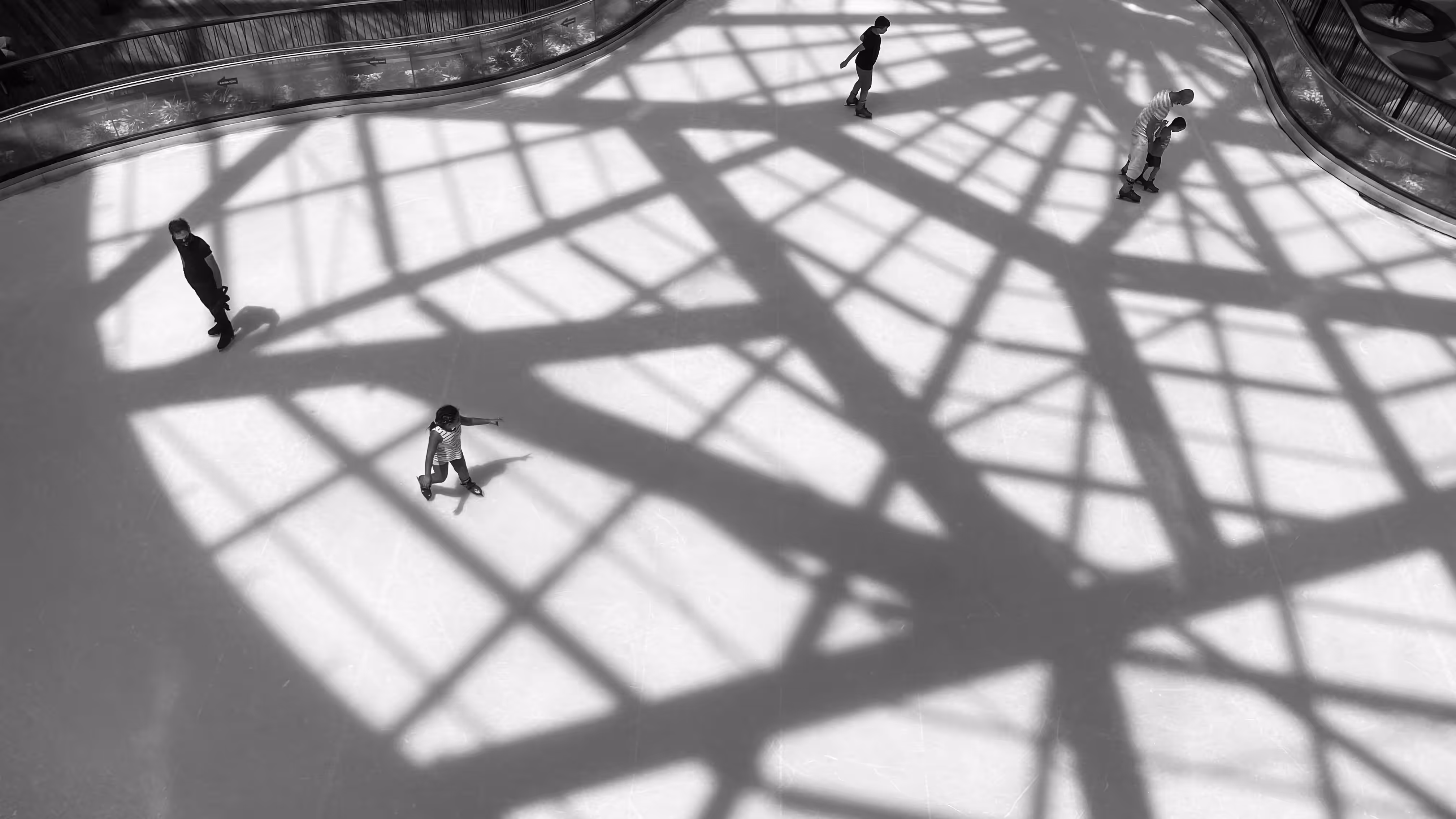 Enveloped in Shadow Lines