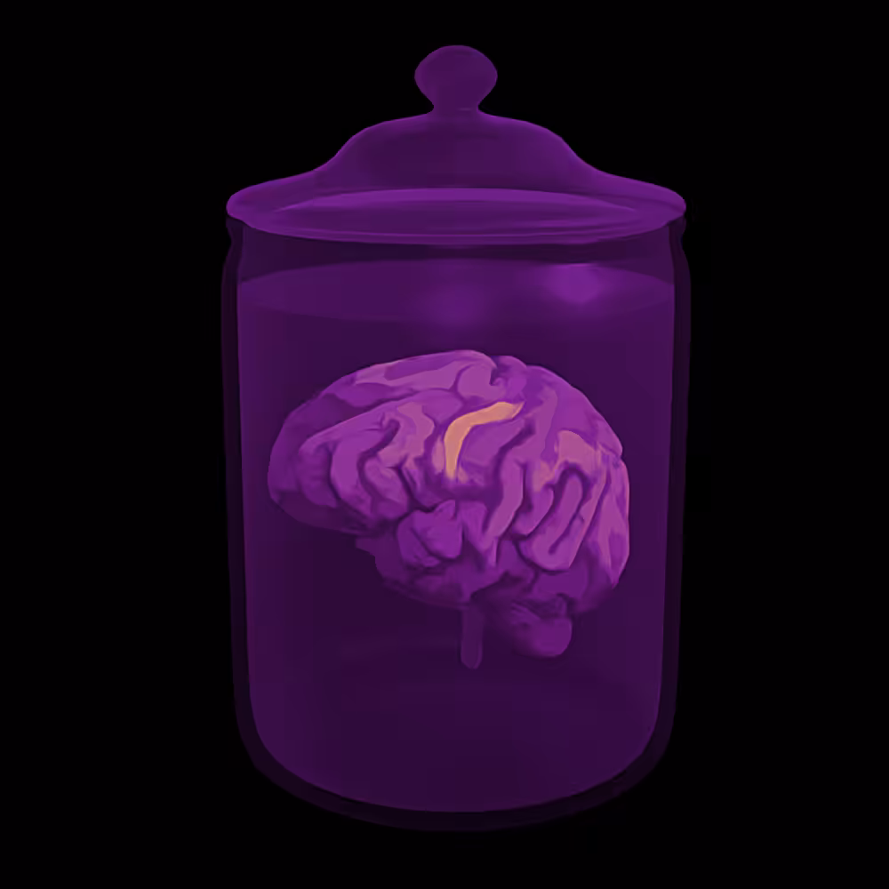 Ametrine Brain In Jar