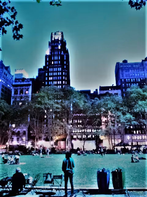 New York Park