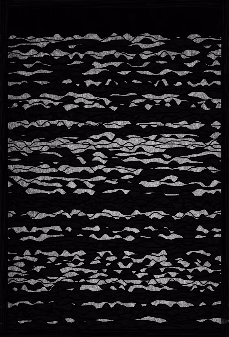Ode to black and white #17