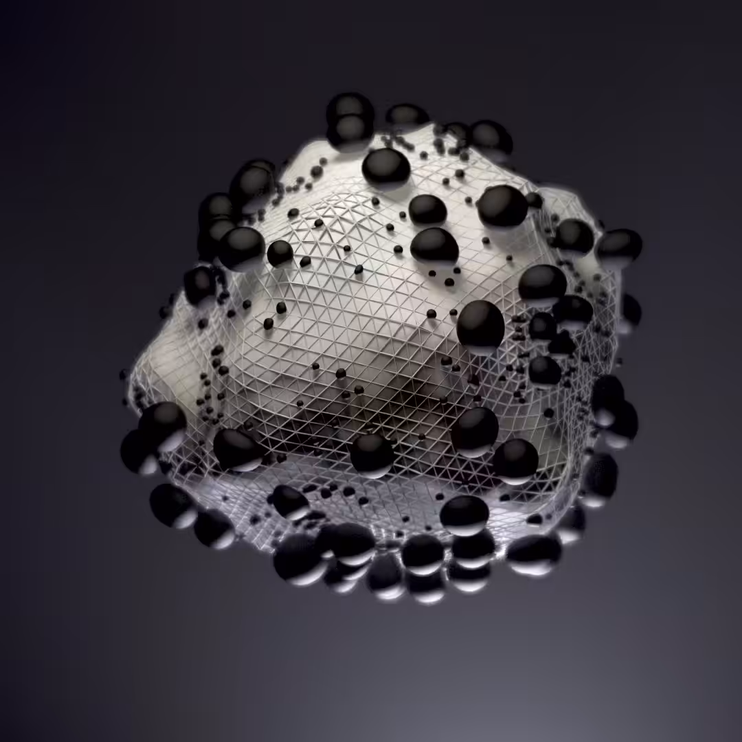 HyperNature | Small World