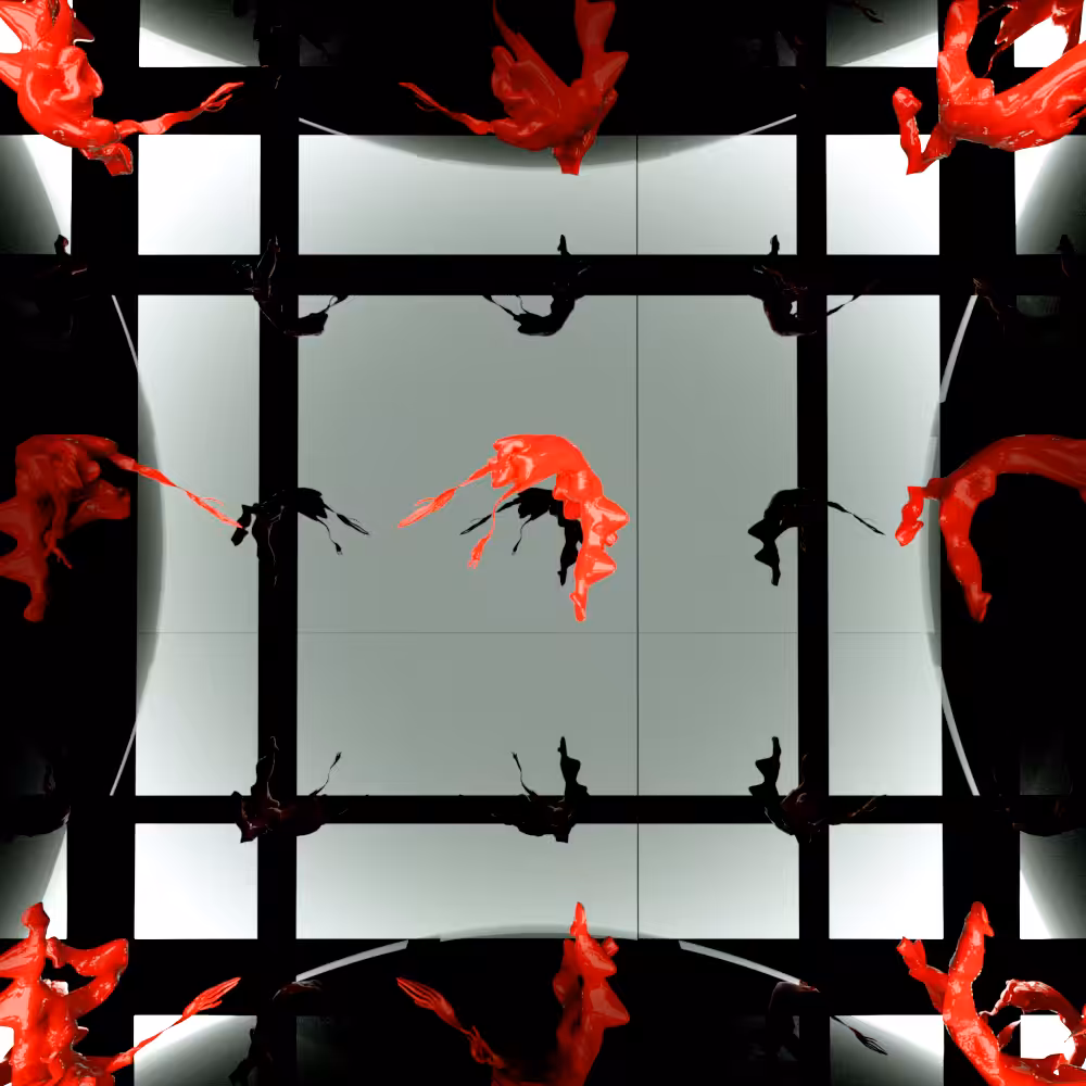 House Of Mirrors