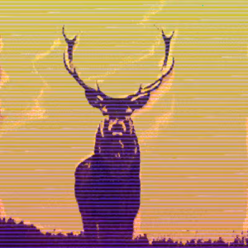 6070.mp4