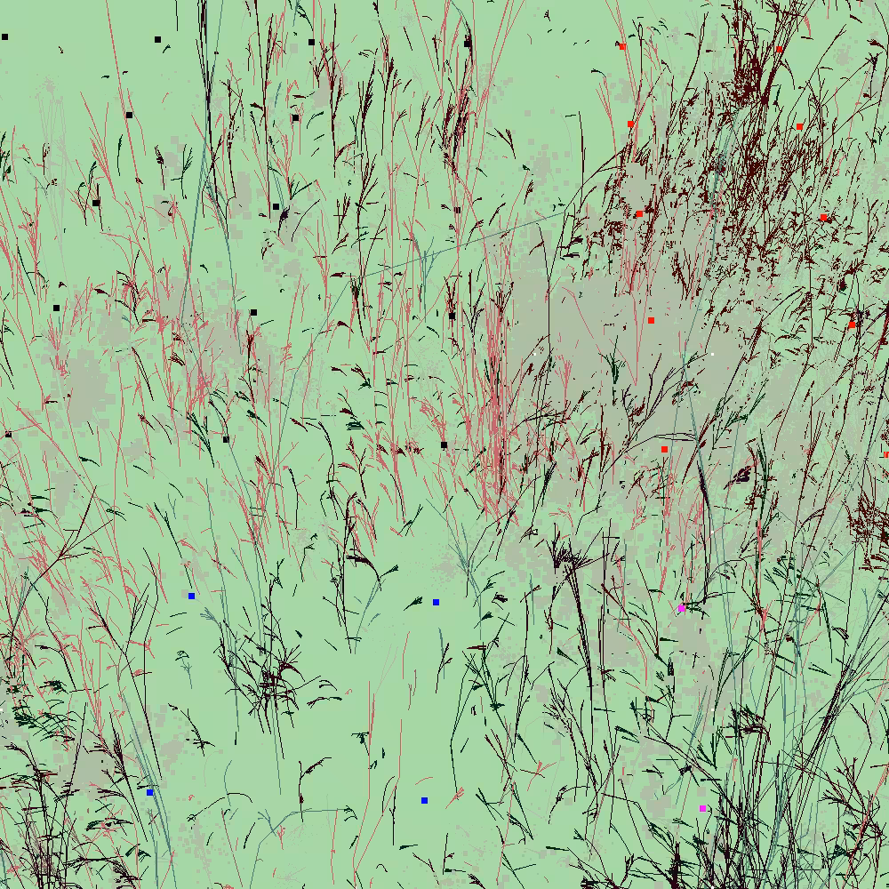 Infinite Garden: 14454 Flowers
