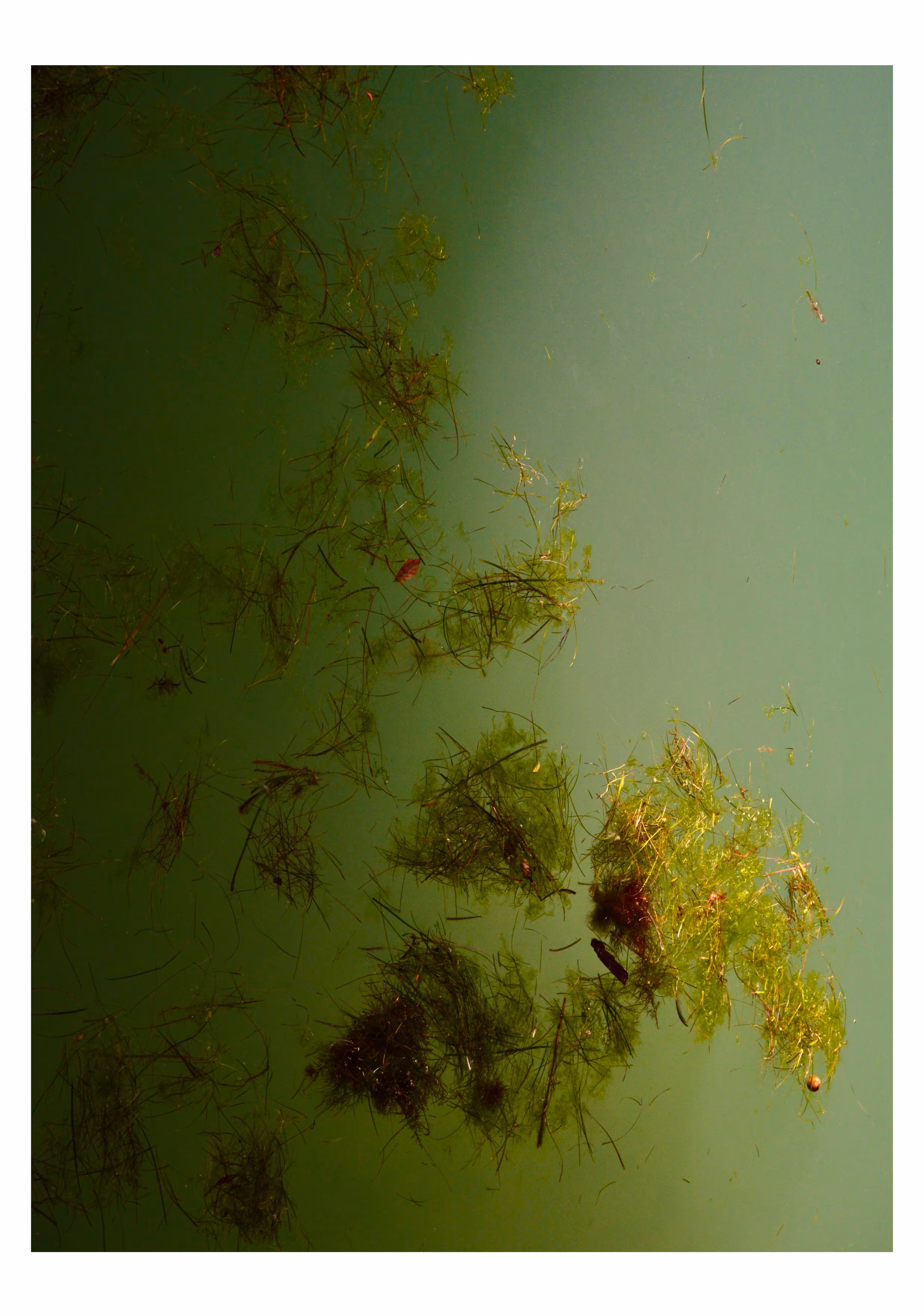 Photograph 6