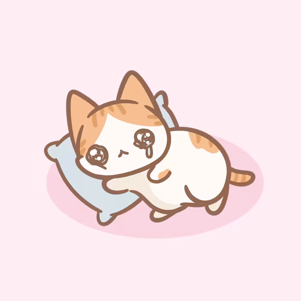 The No chonky