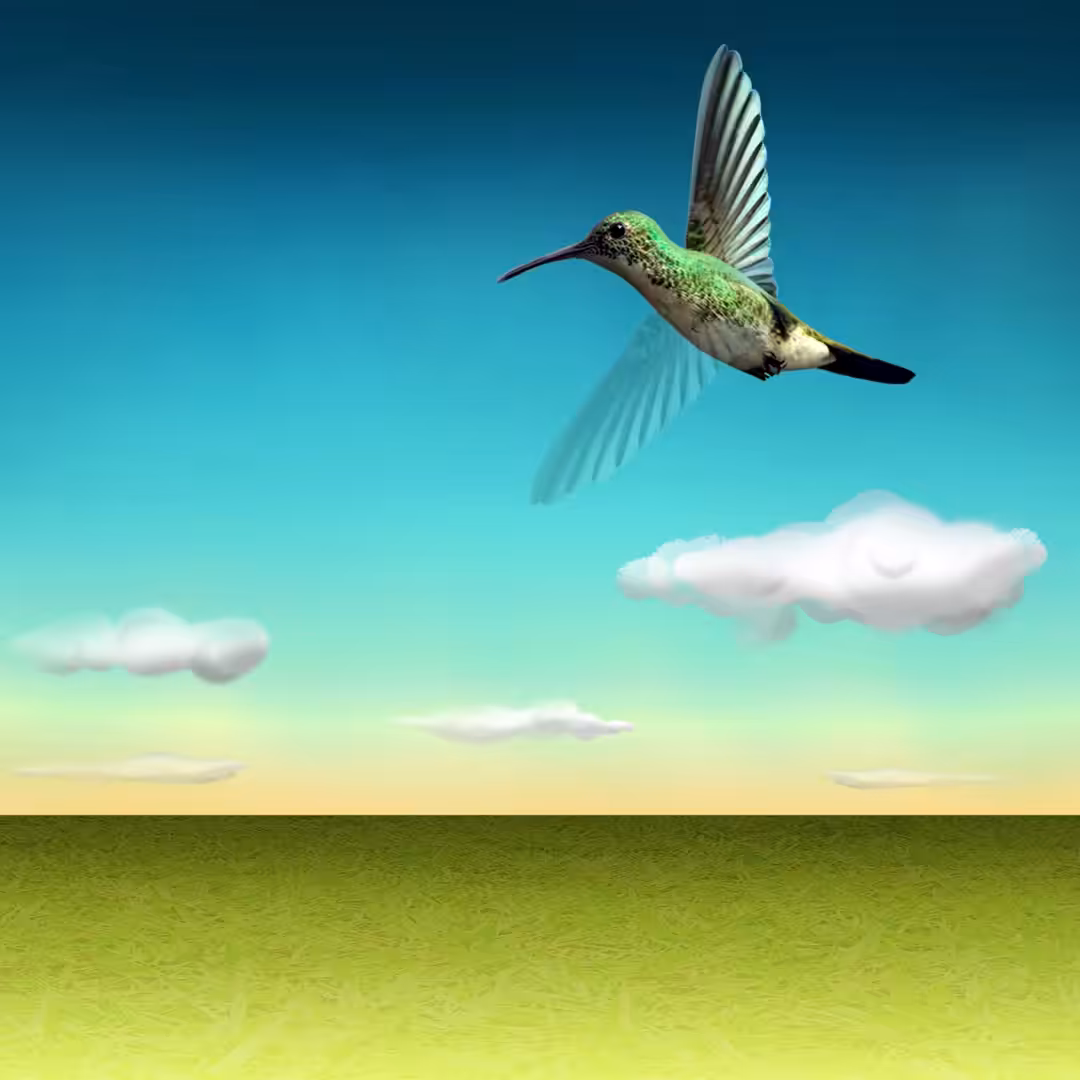" The Hummingbird "
