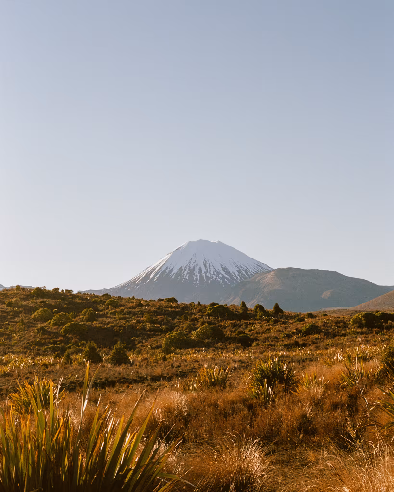 Mt Ngauruhoe #1
