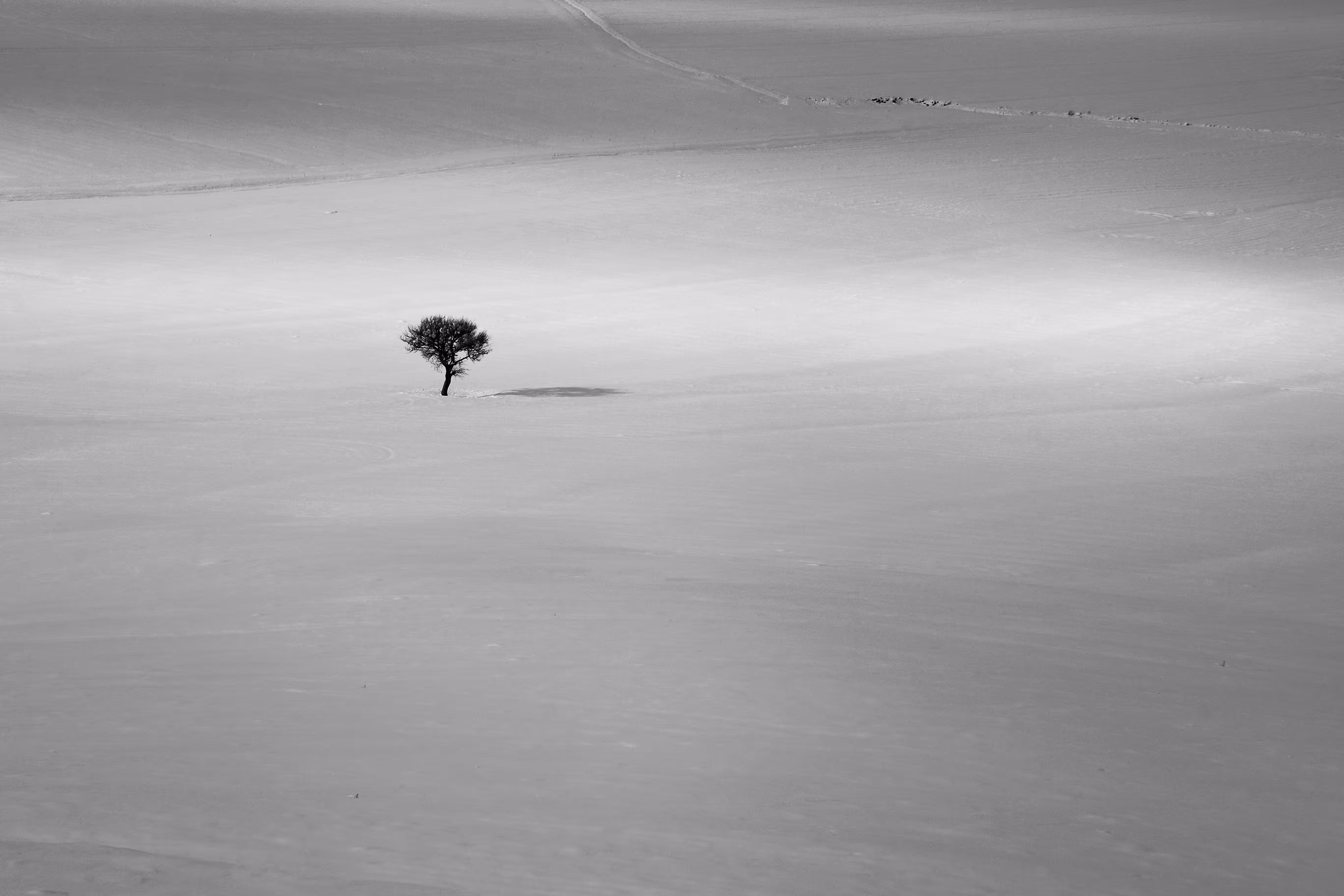 alone