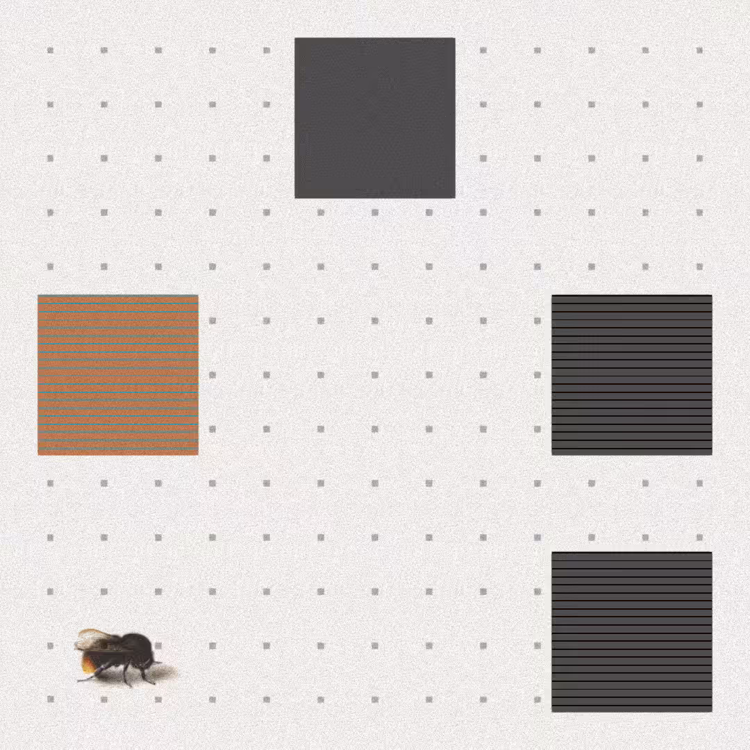 Bee #24