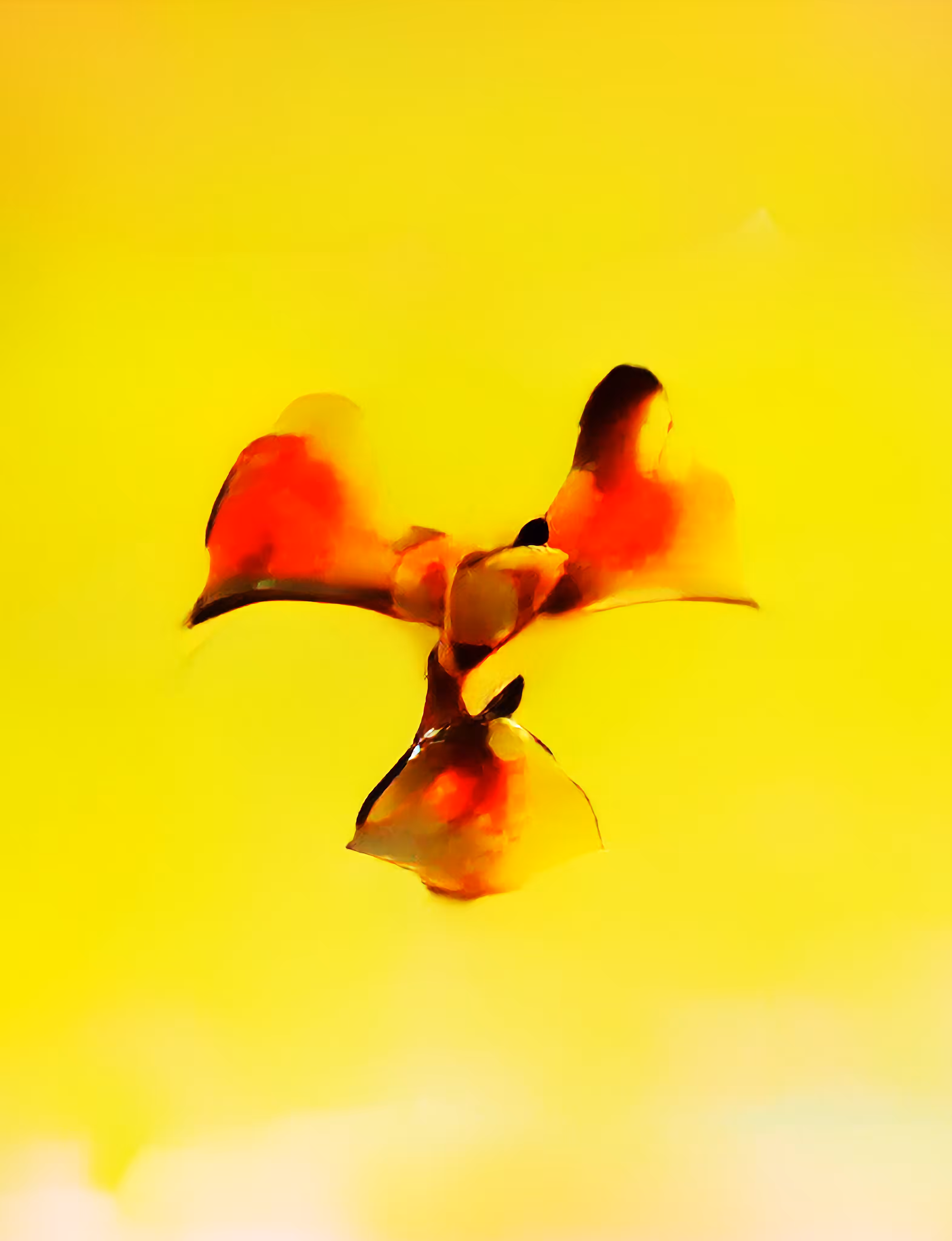 In The Air