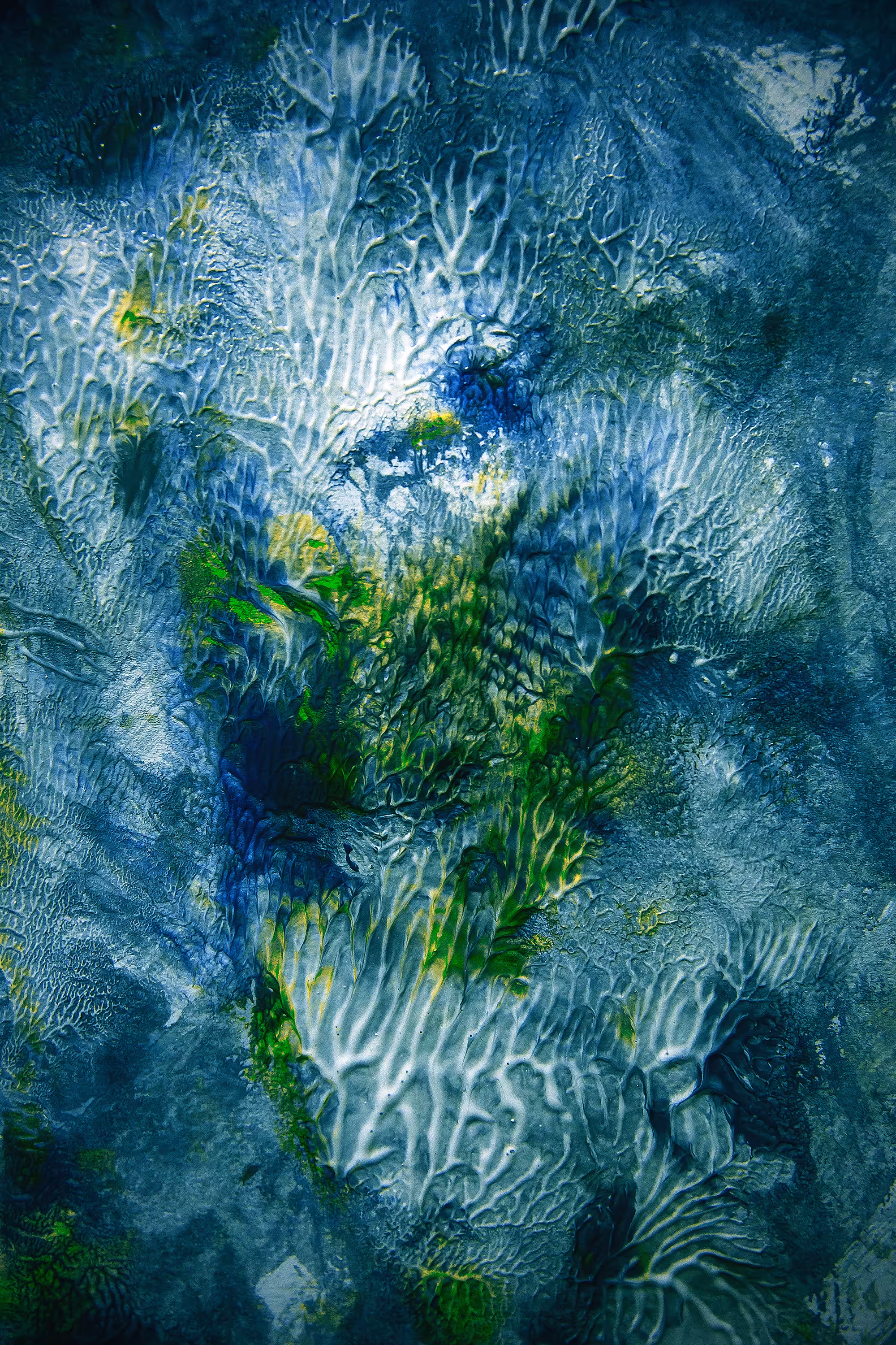 REEF