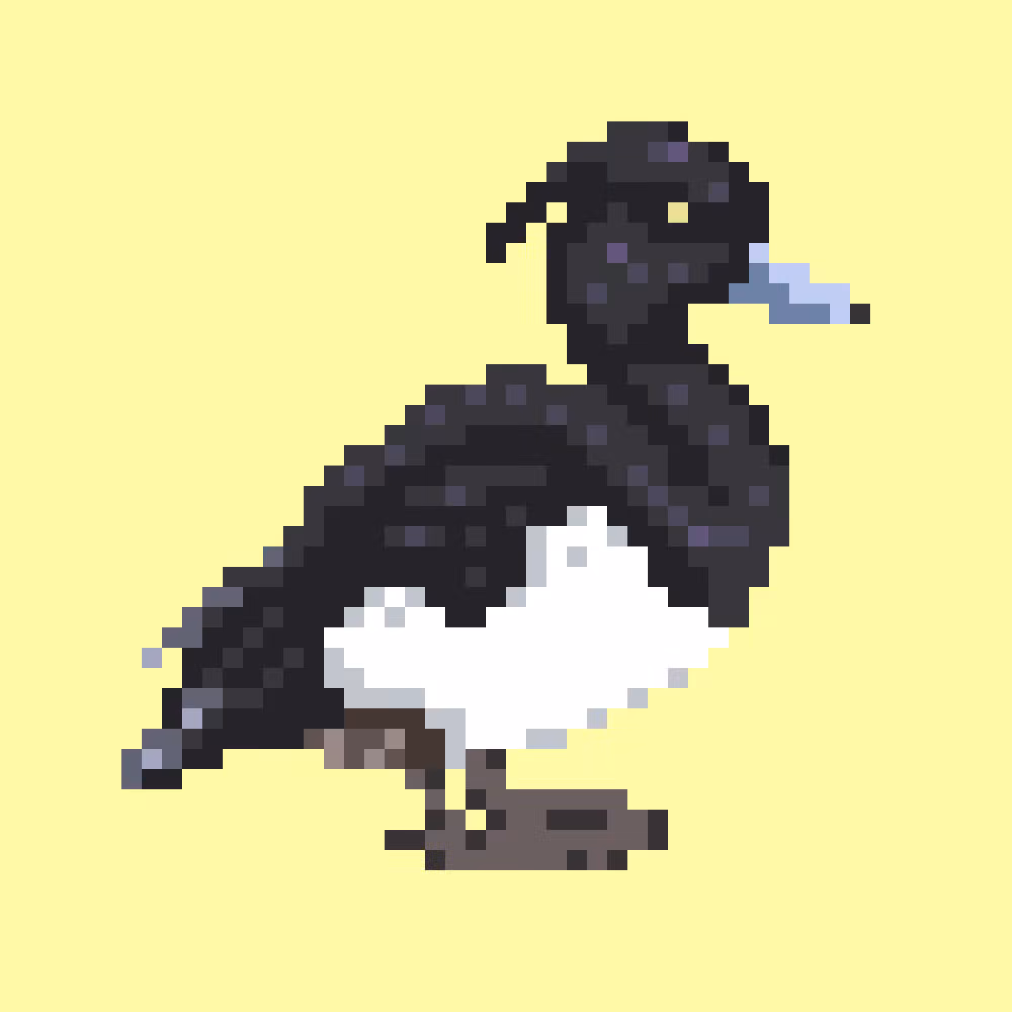 Tufted Duck (M)