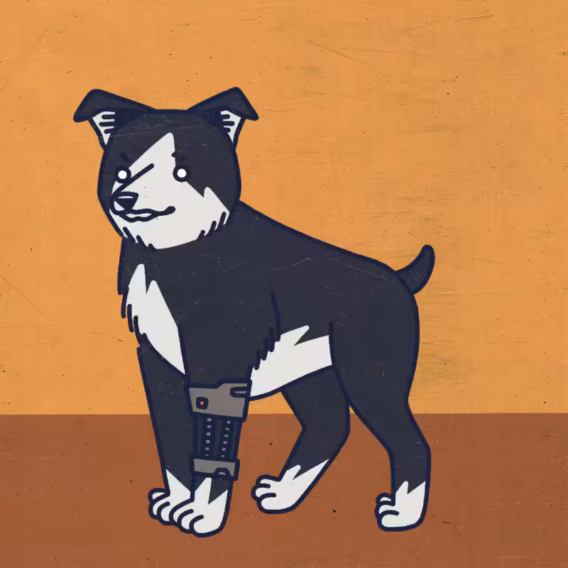 future_dogs #38