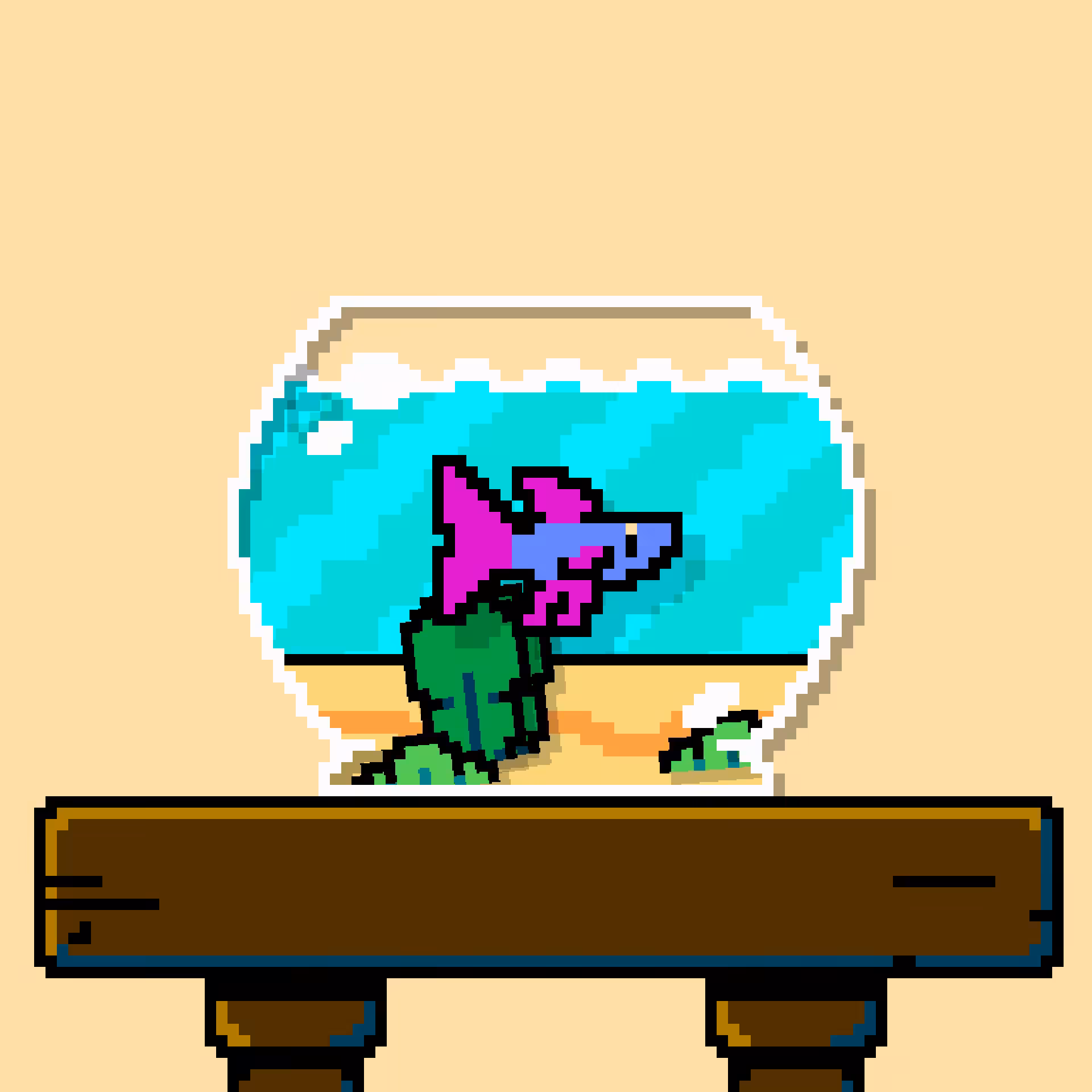 betta fish #478