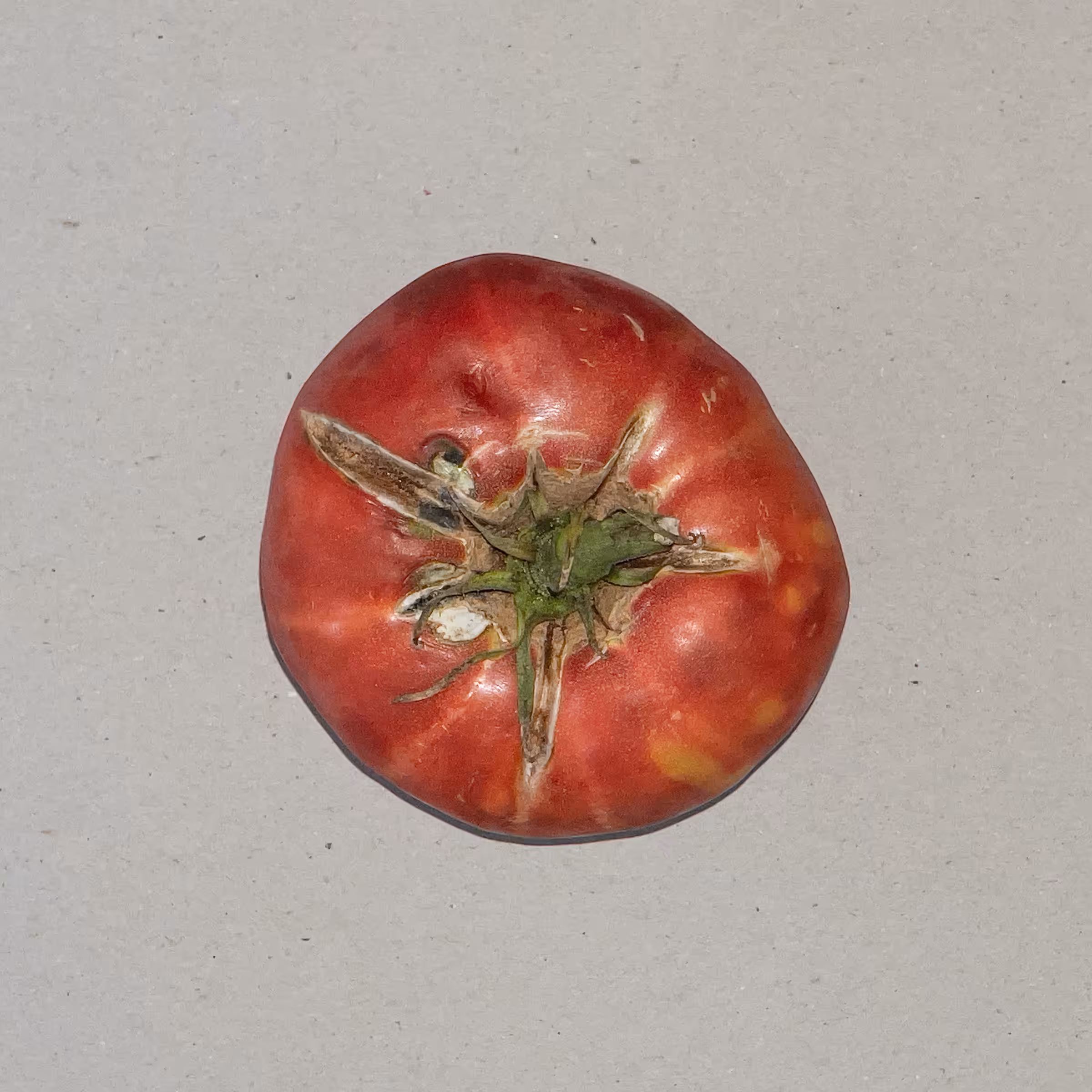 Anonymous Vegetables - Tomato