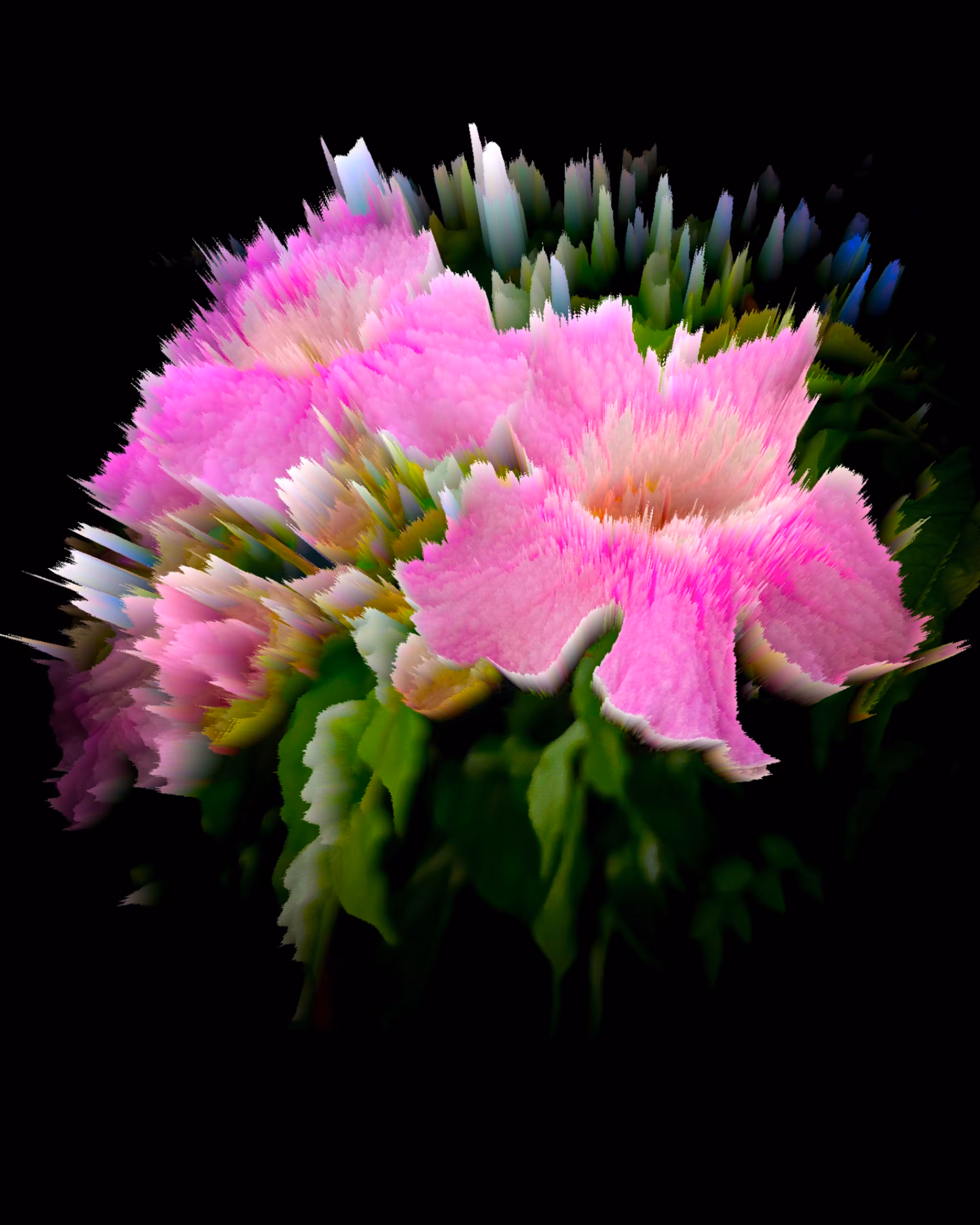 "Pink Trumpet Vine"