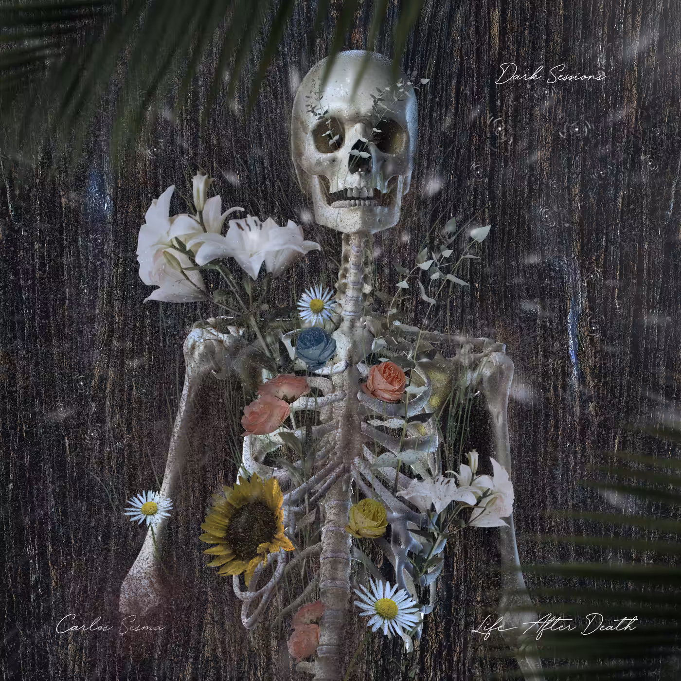LIFE AFTER DEATH
