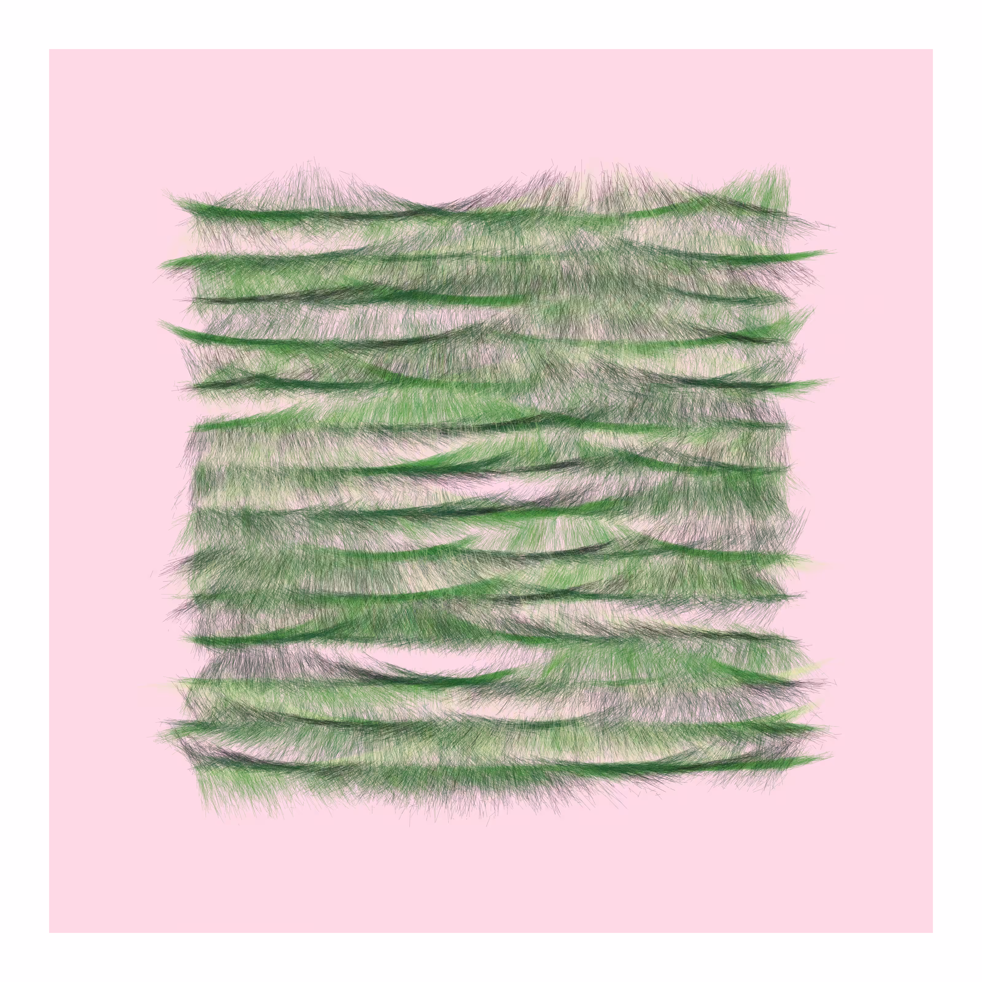 Plume #53
