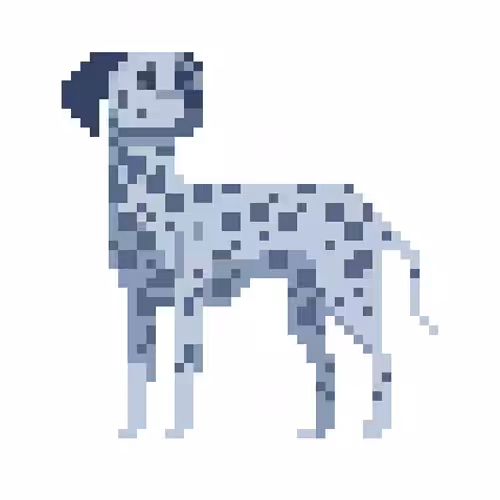 dalmatian