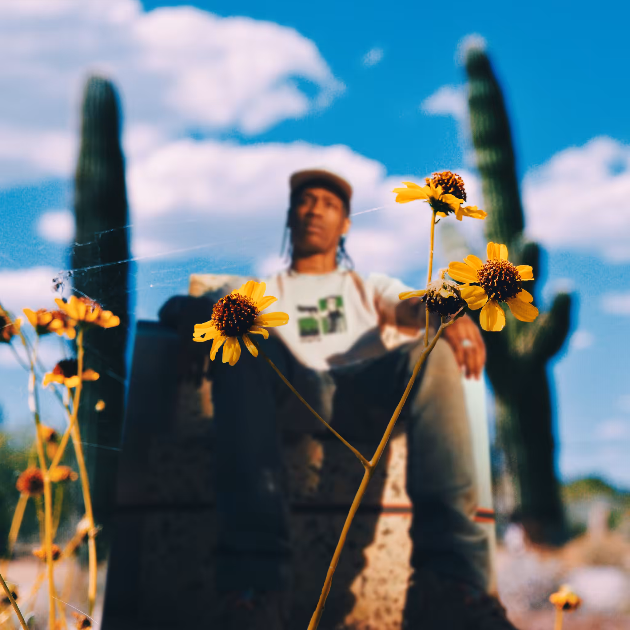 Cactuscott