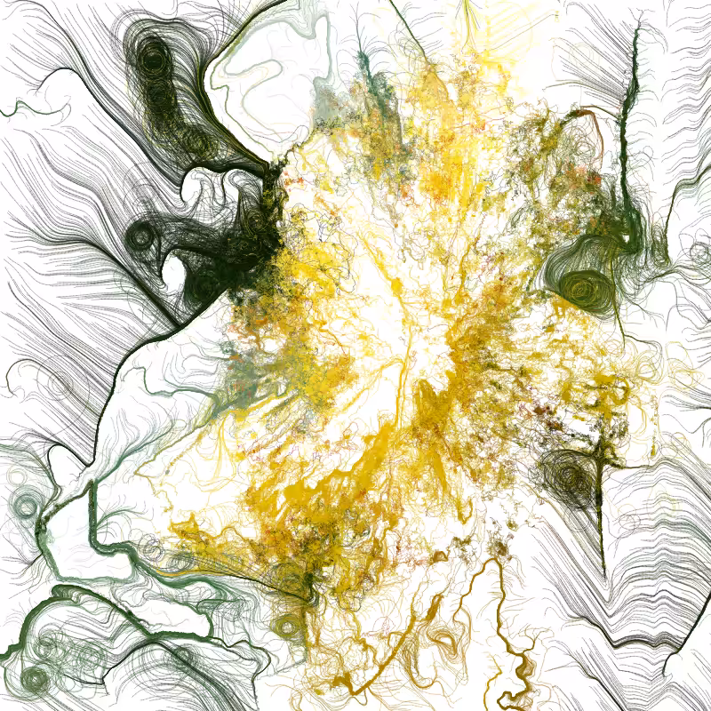 Hypericum #126