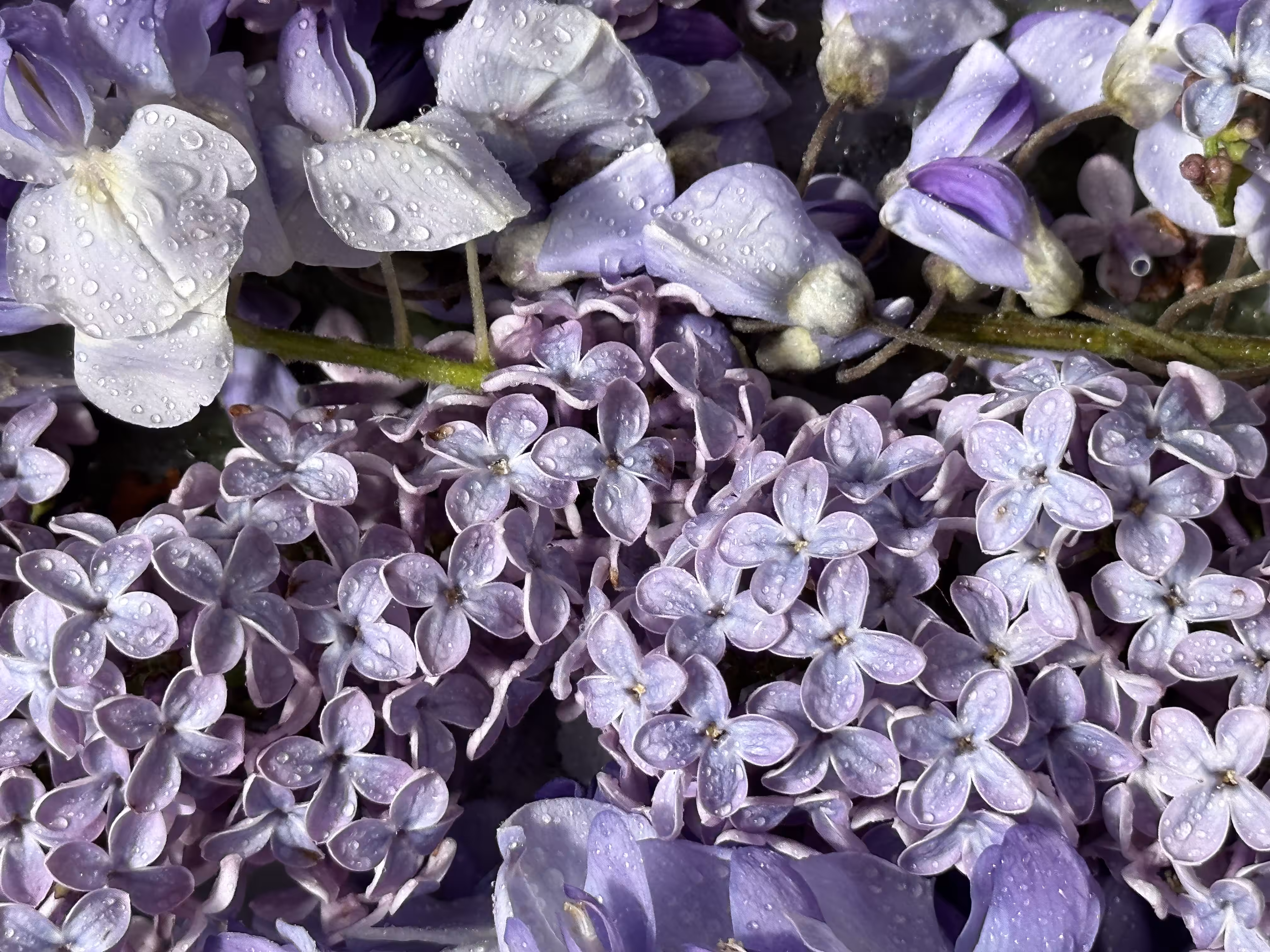 💜