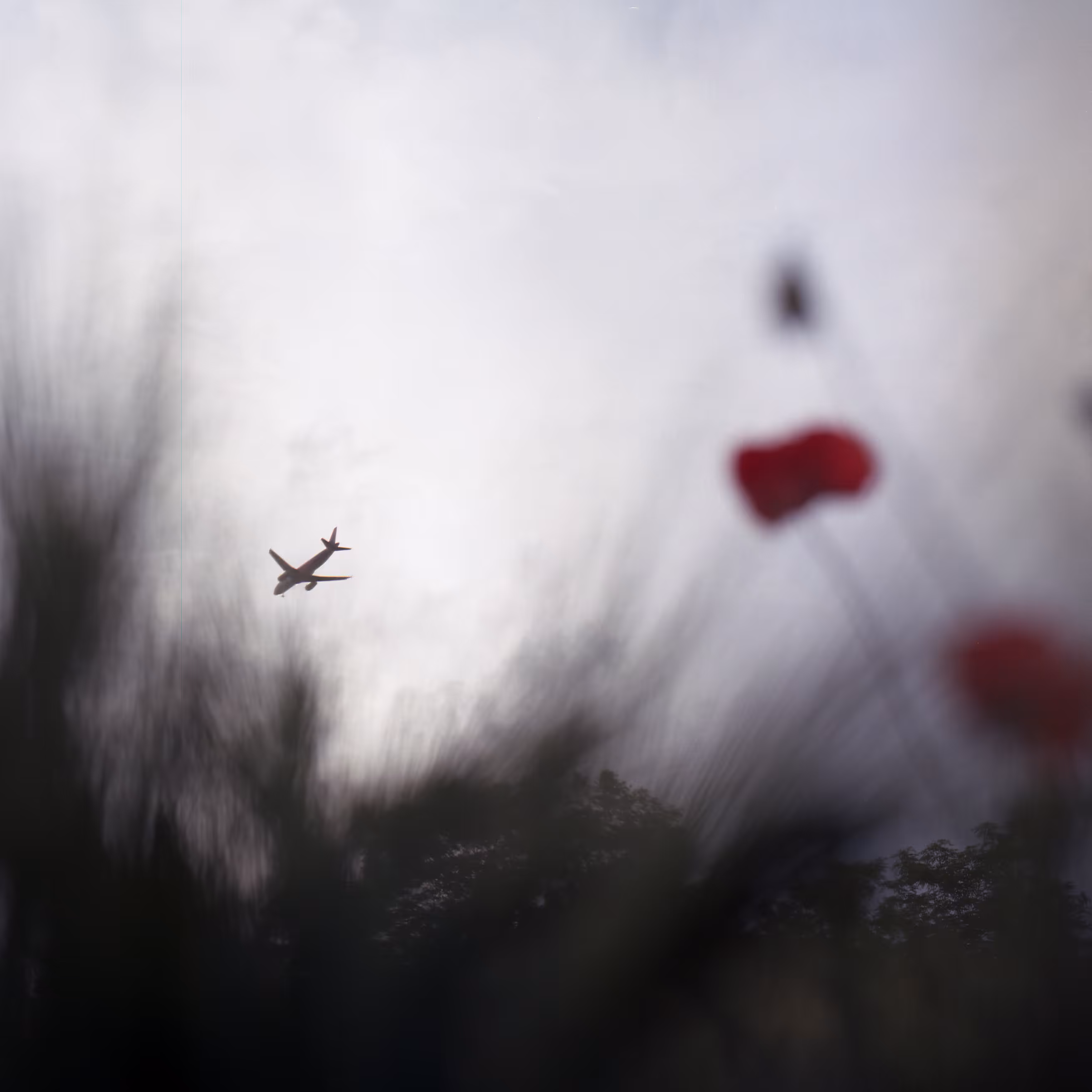 watching you fly