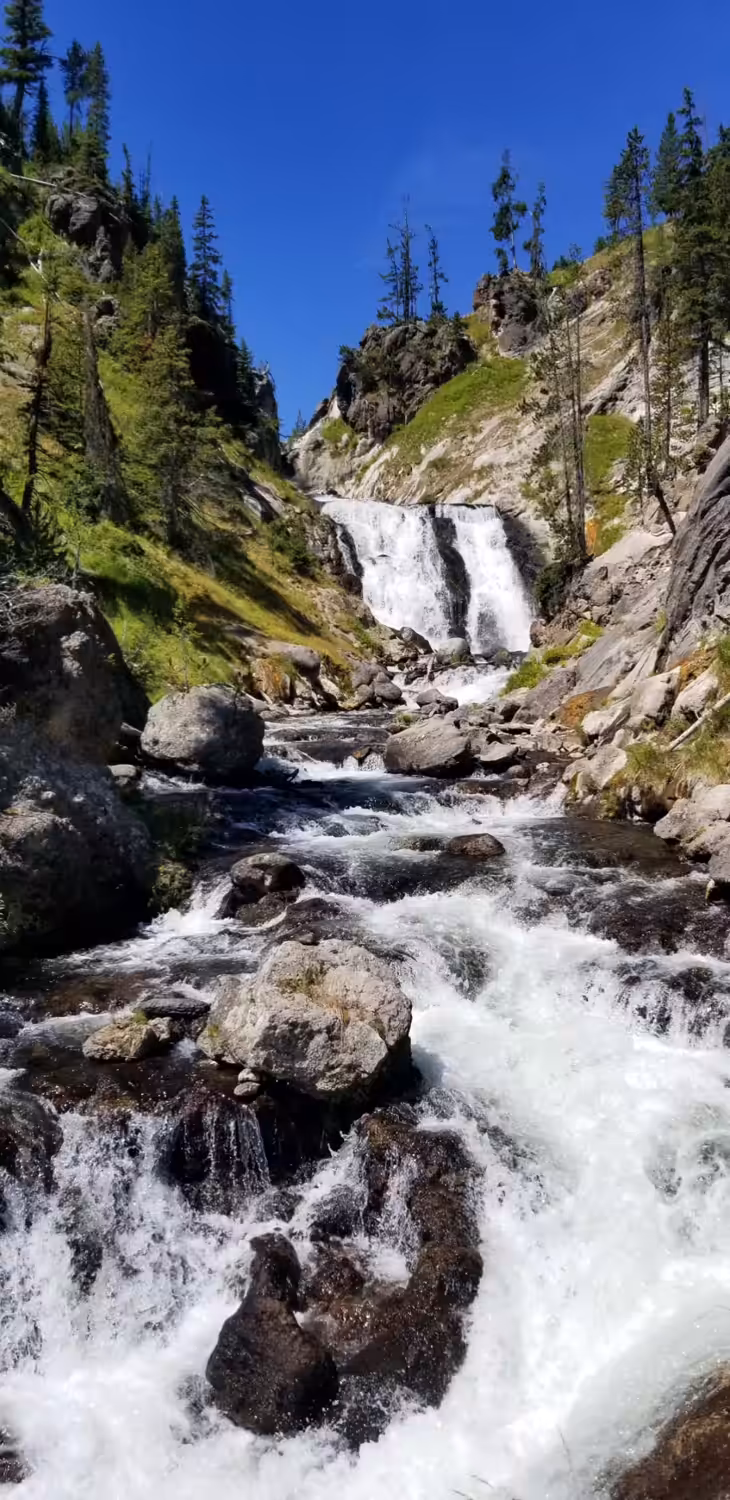 August Flow