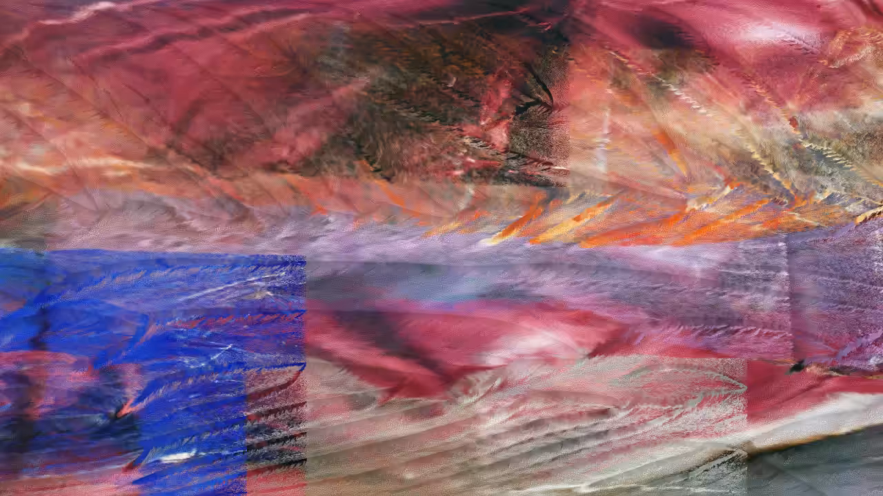 Silk Road #39