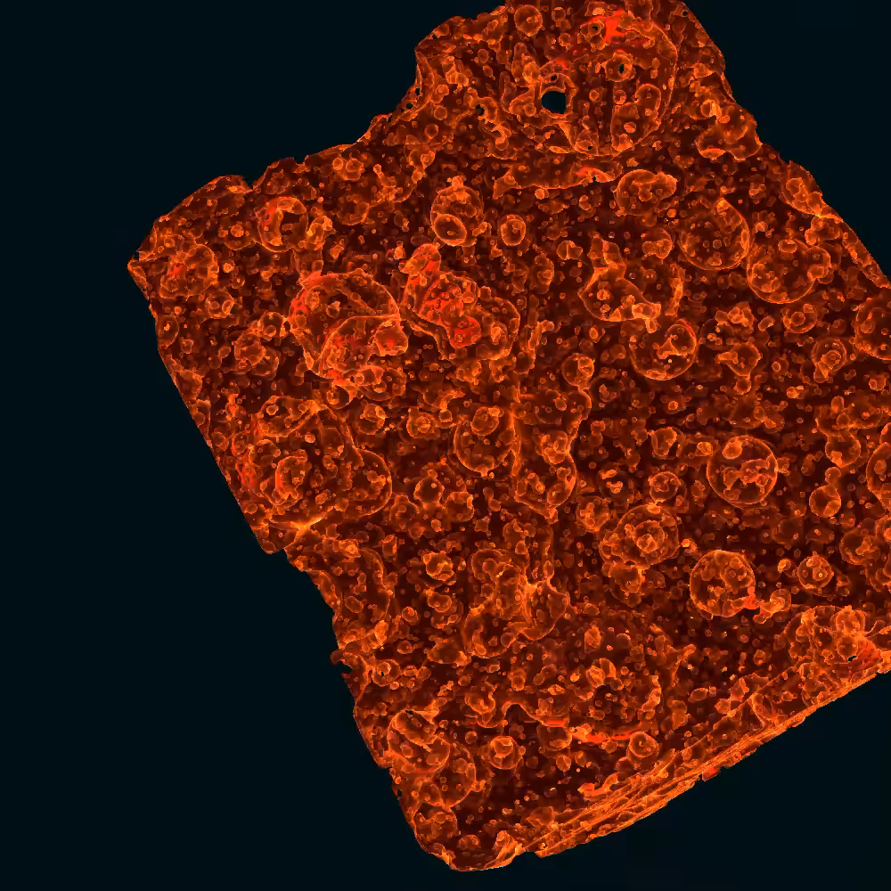 Lava series (object 1/10)