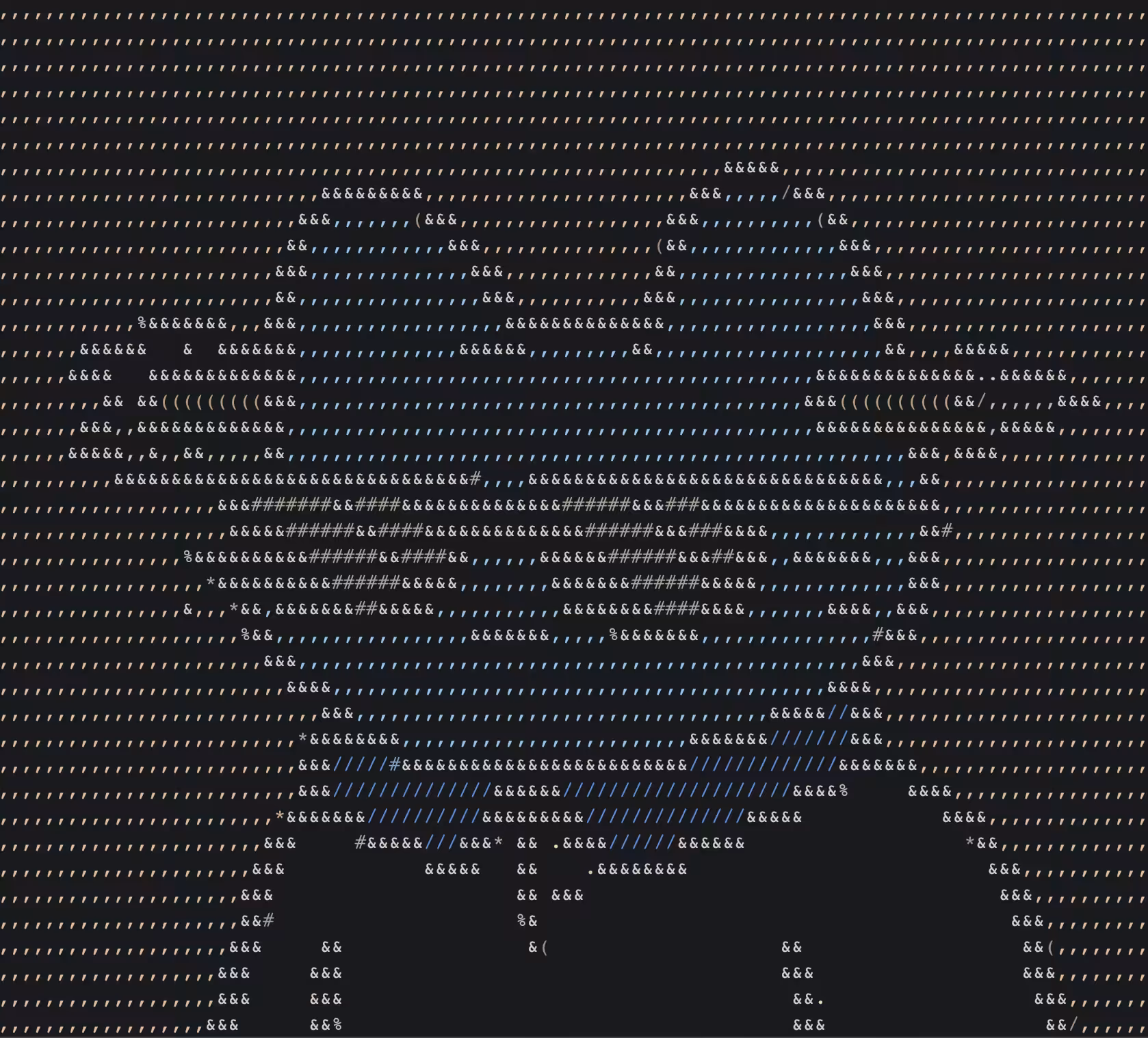 Code Cat 5