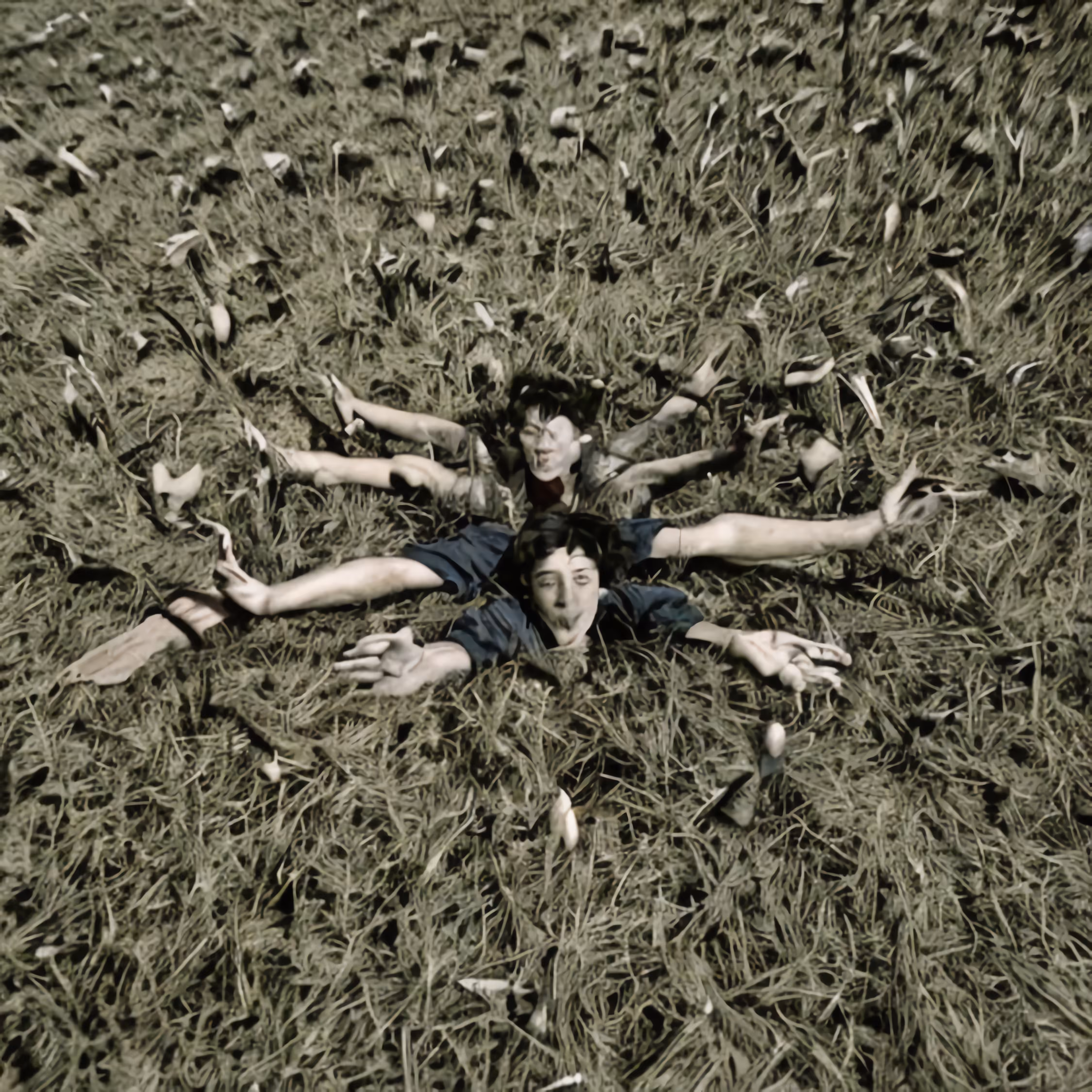 Fields: Flats 17