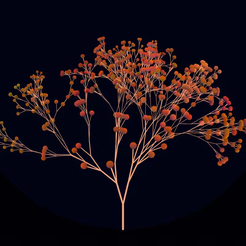 Arboreta #3