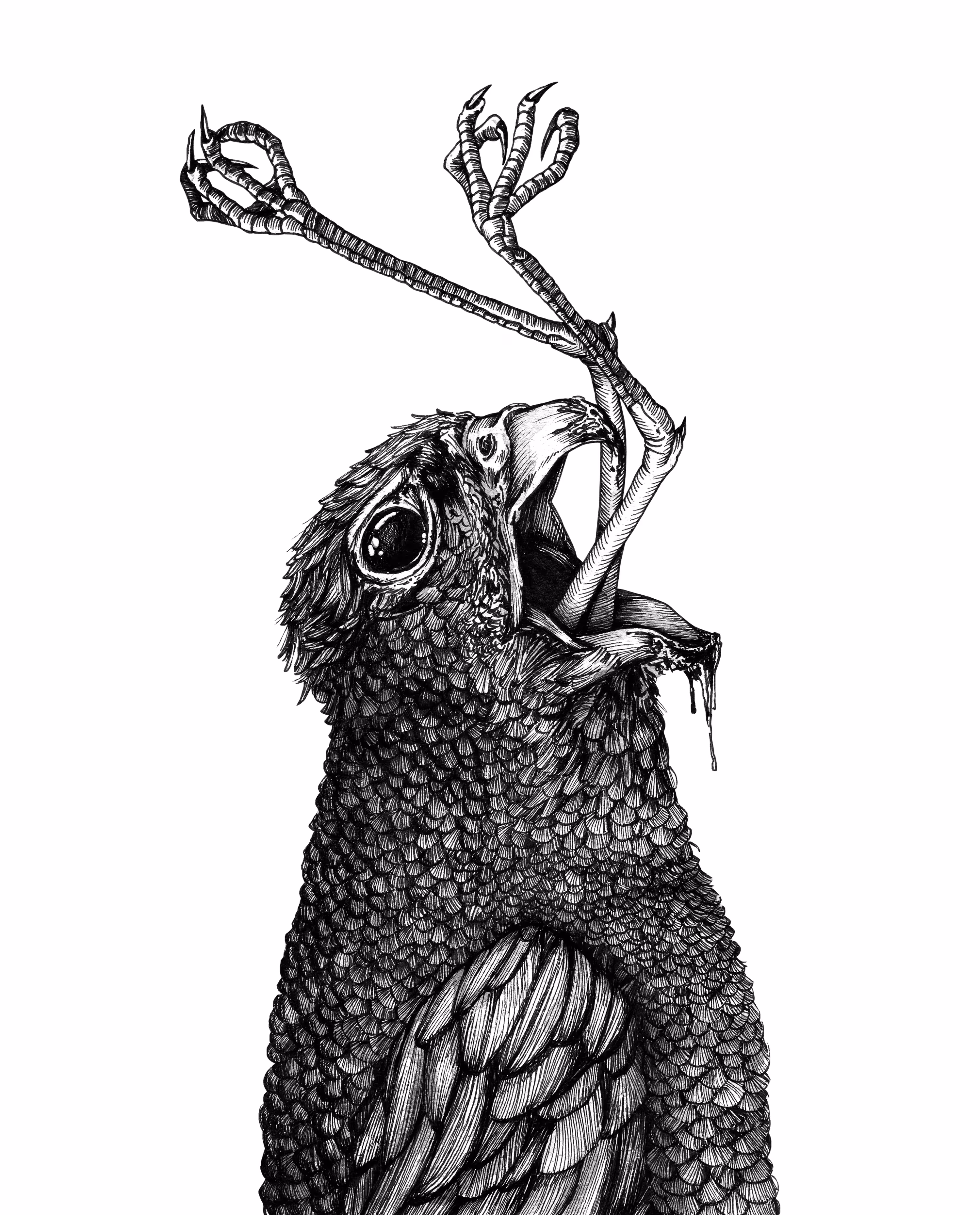 CHOKED BIRD Original