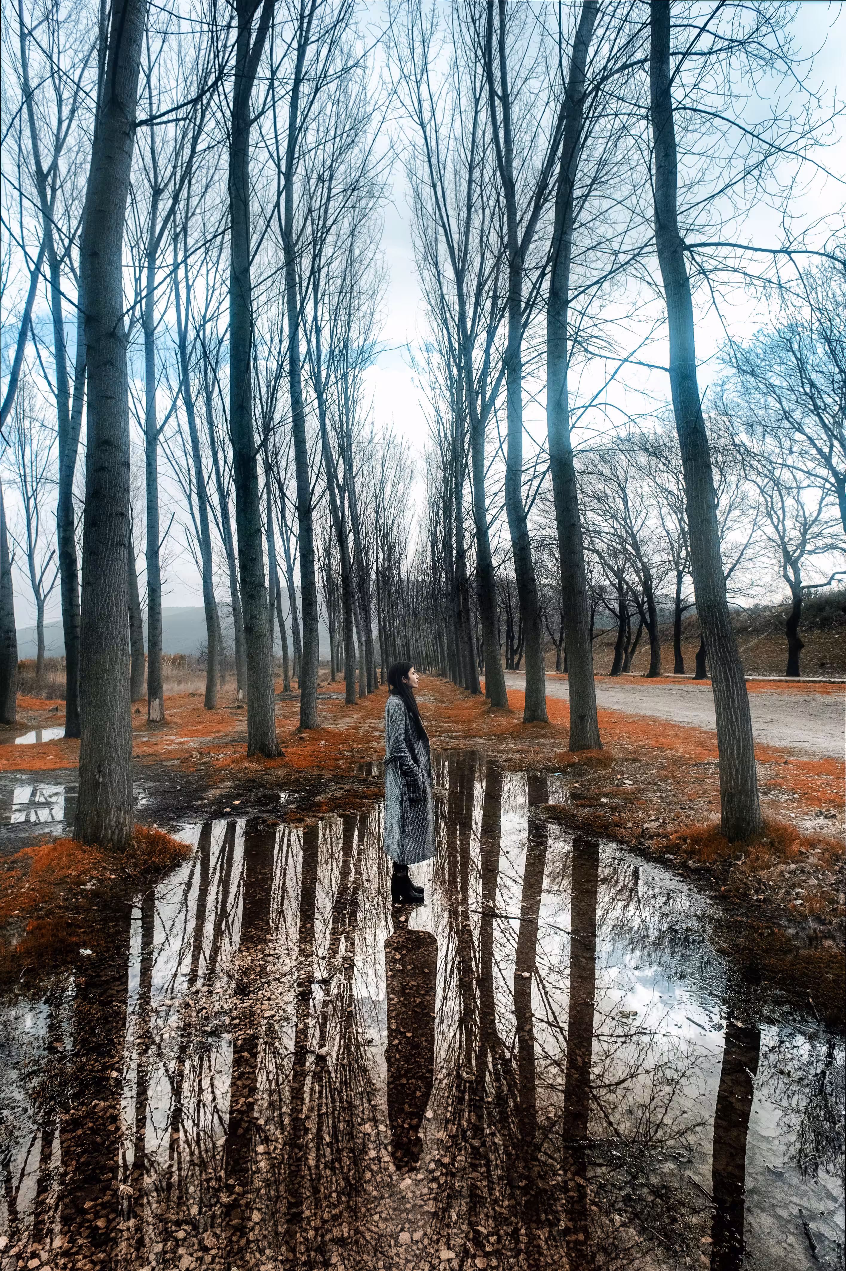 Longing for Spring