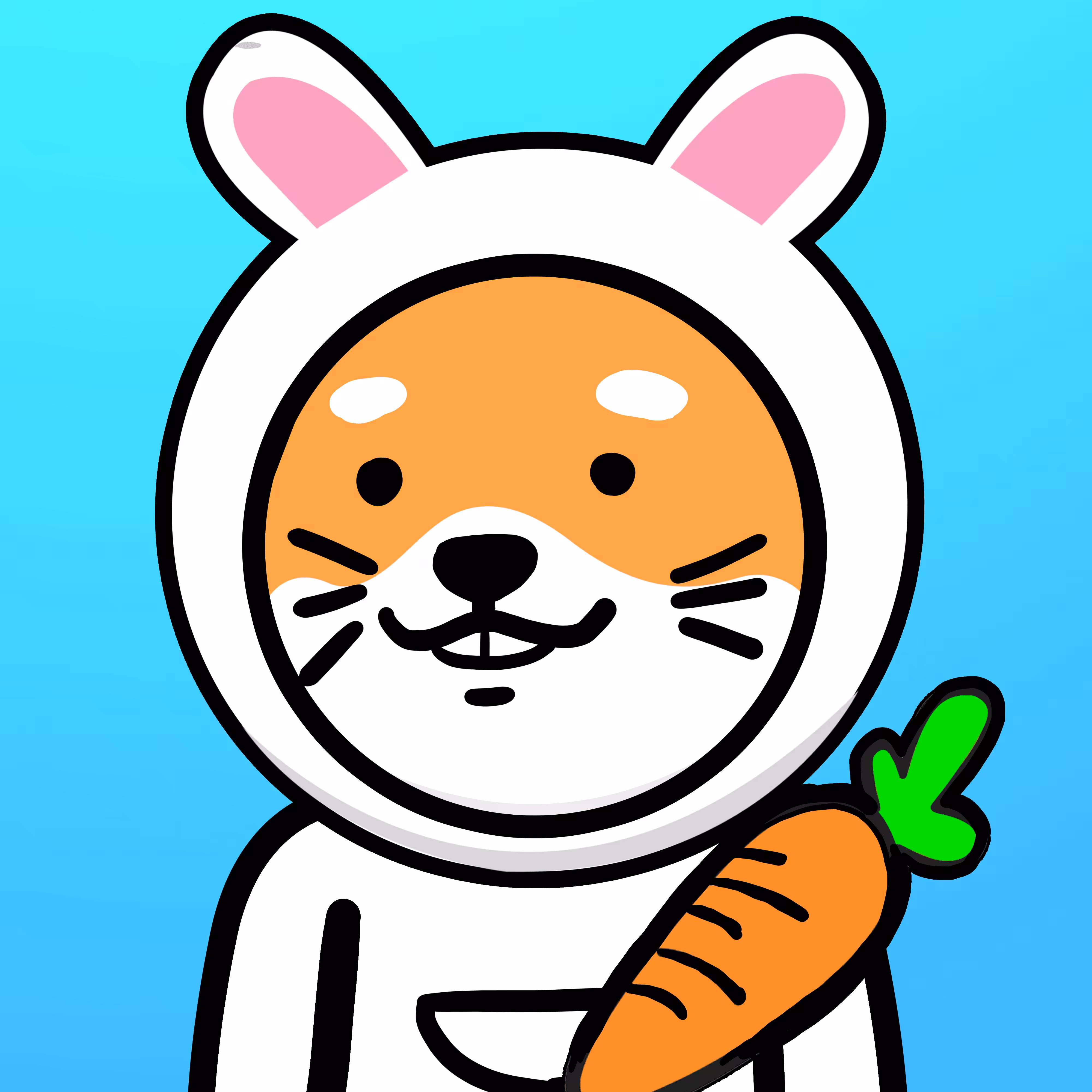 bobo Shiba #146