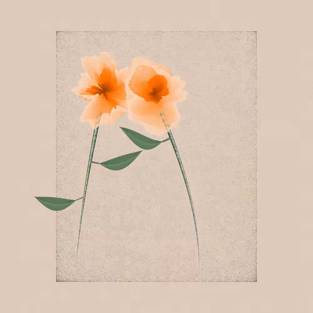 Magnolia #63