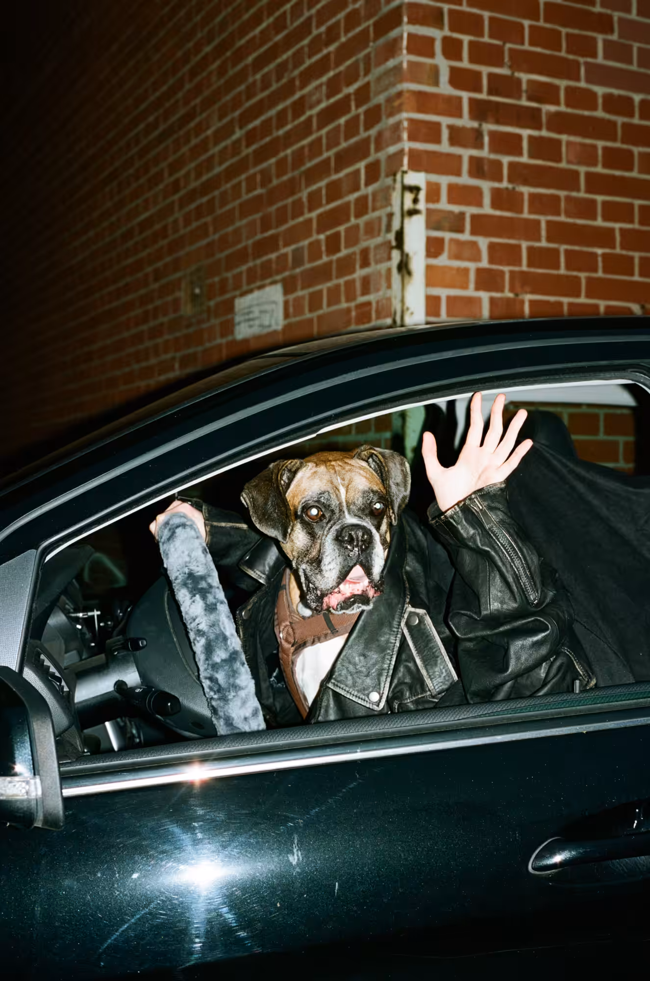Doggystyle, #1