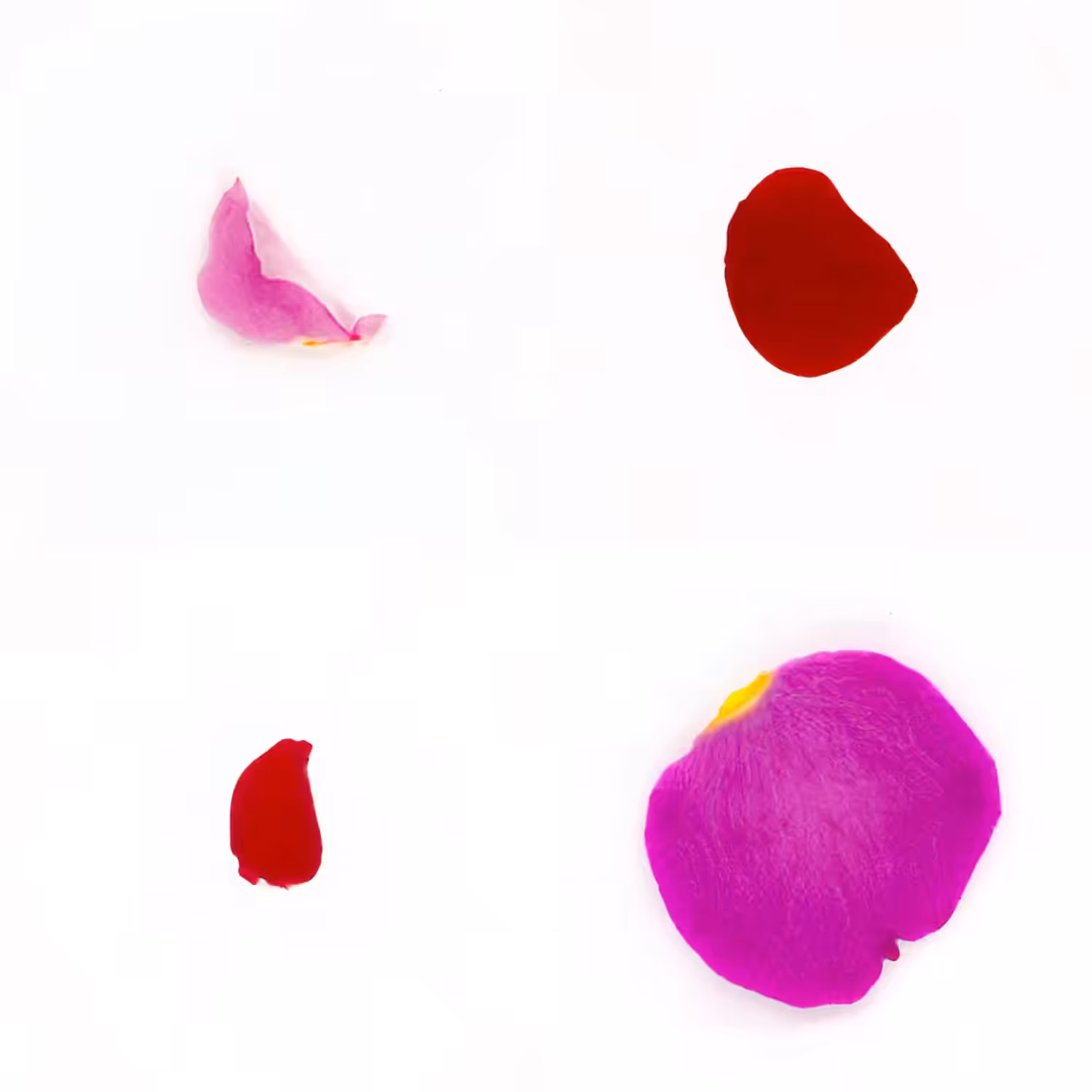 Infinite Petals 2x2#3582