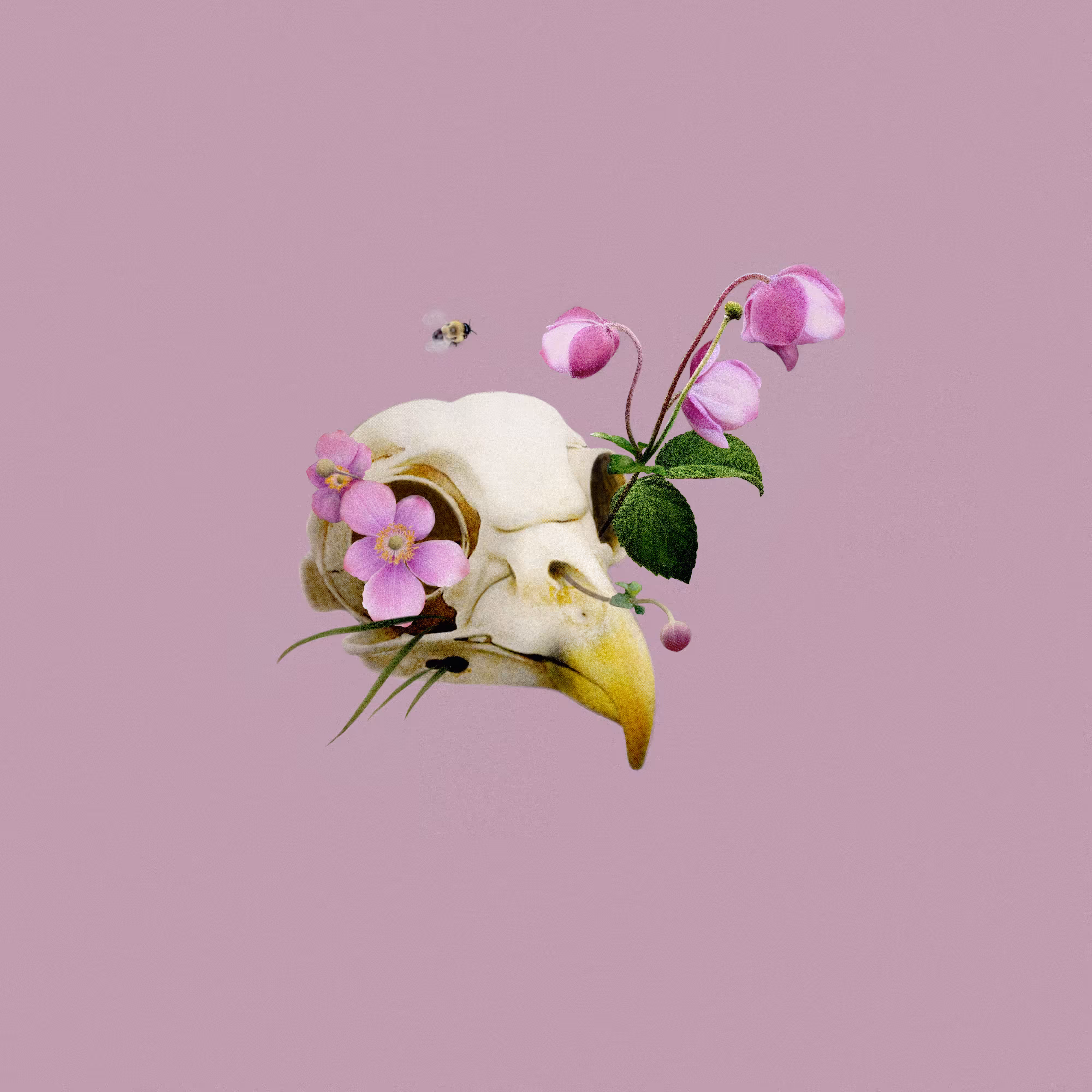 Doom & Bloom IV - Farsight