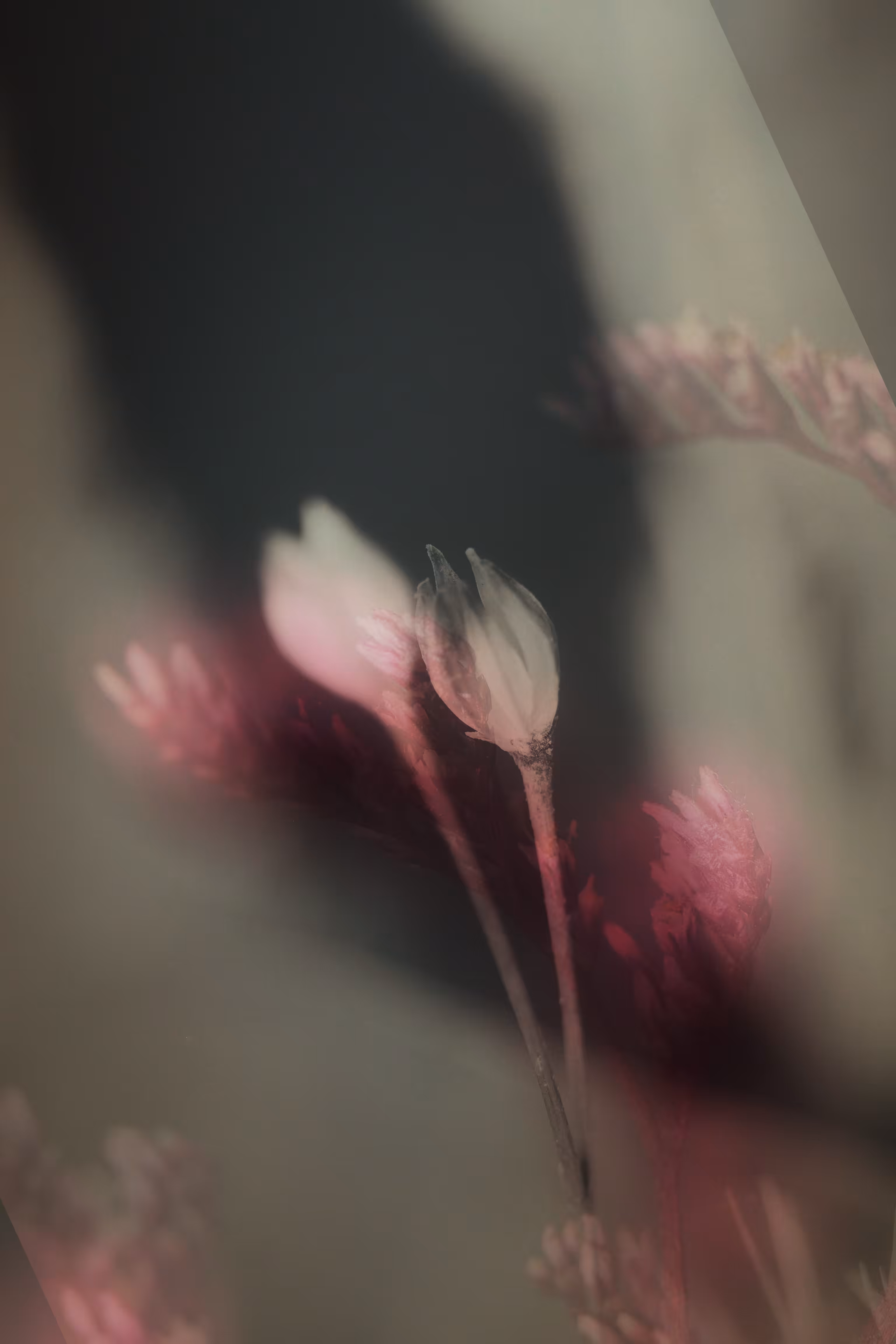 Caught Between