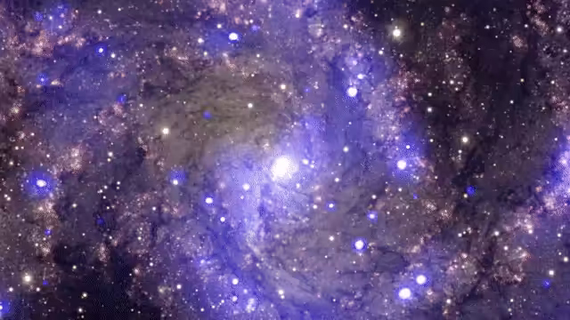 HeavenComputer: ≞≝∅≟∤⋍⌝⊸⊏ⅆ⪐⍙⧢◥ #1000303