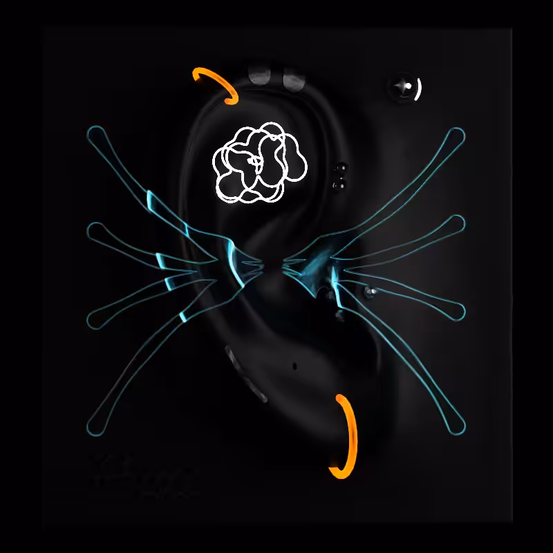 #133 Aurasensory Toys
