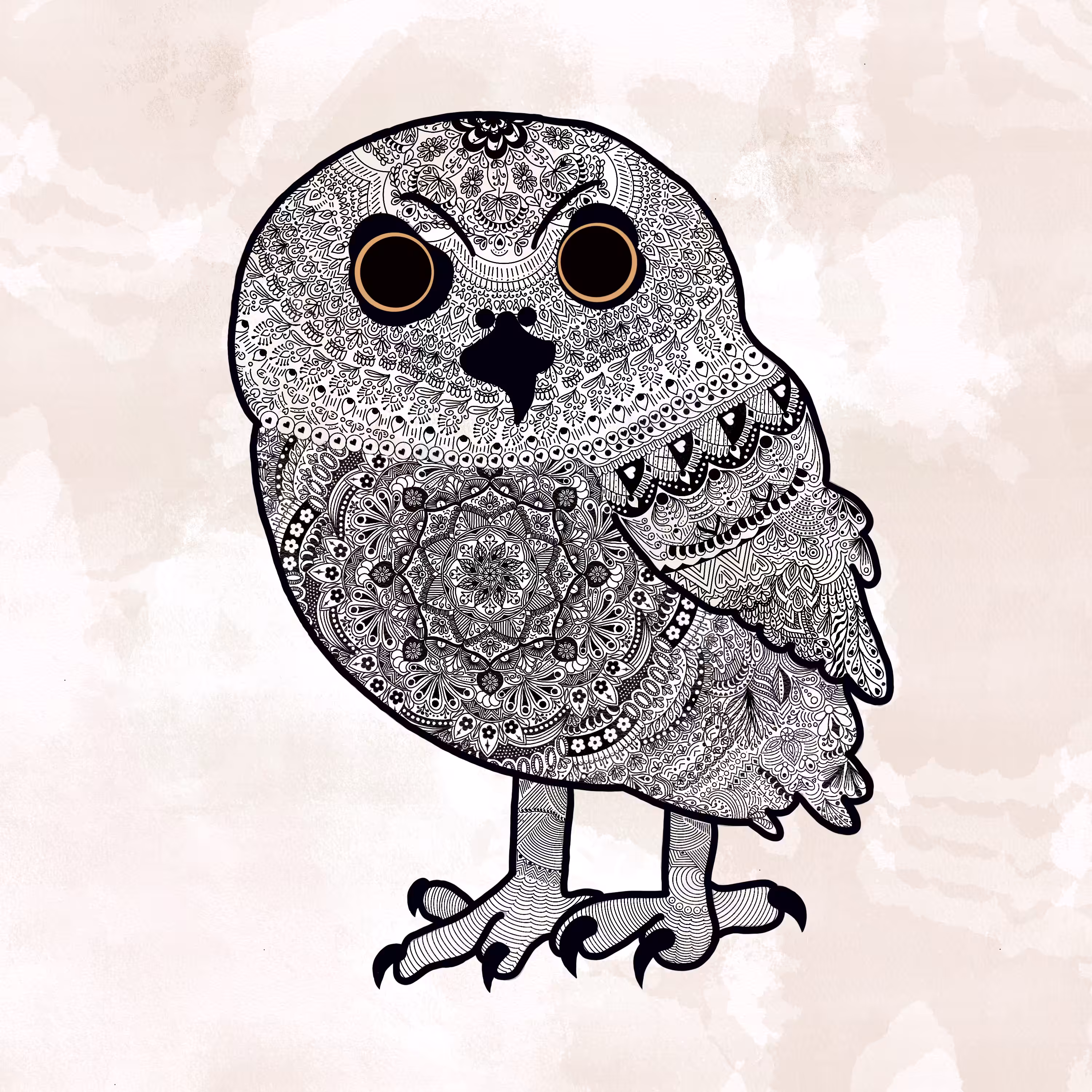Owl