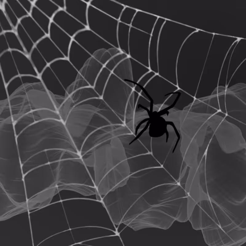 Black Spider #7