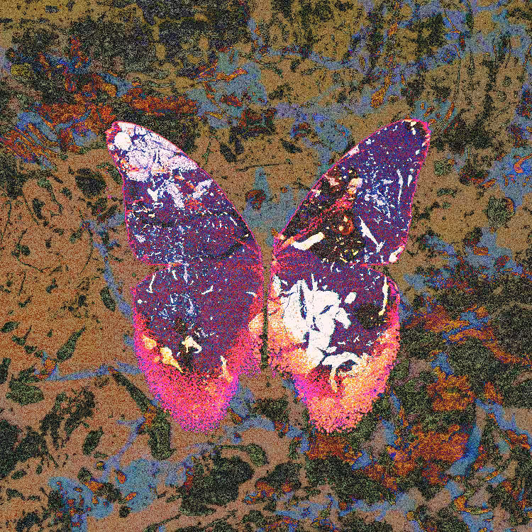 Viscera