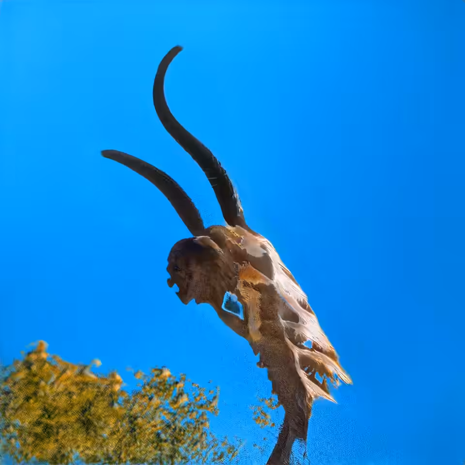 Extinction (Cult Of CryptoArt version)