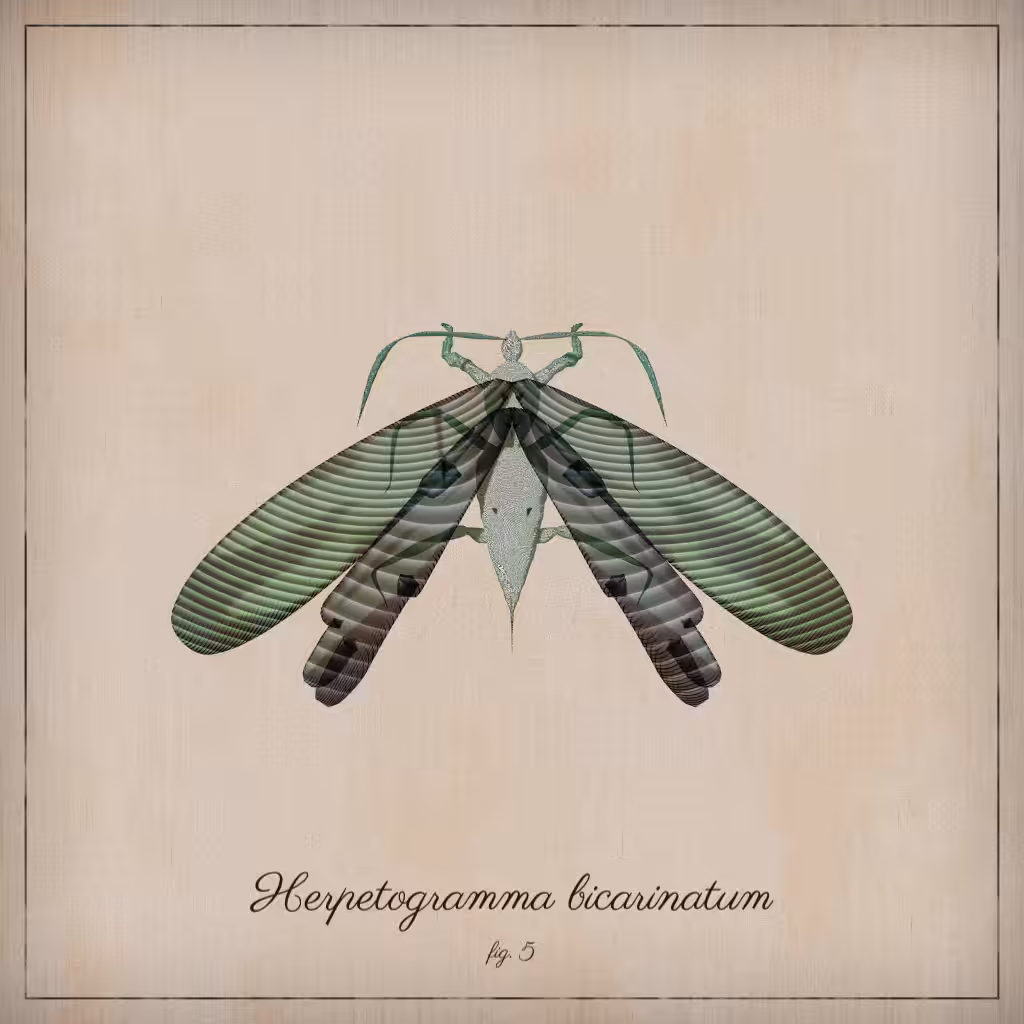 ProcGen Entomology #91