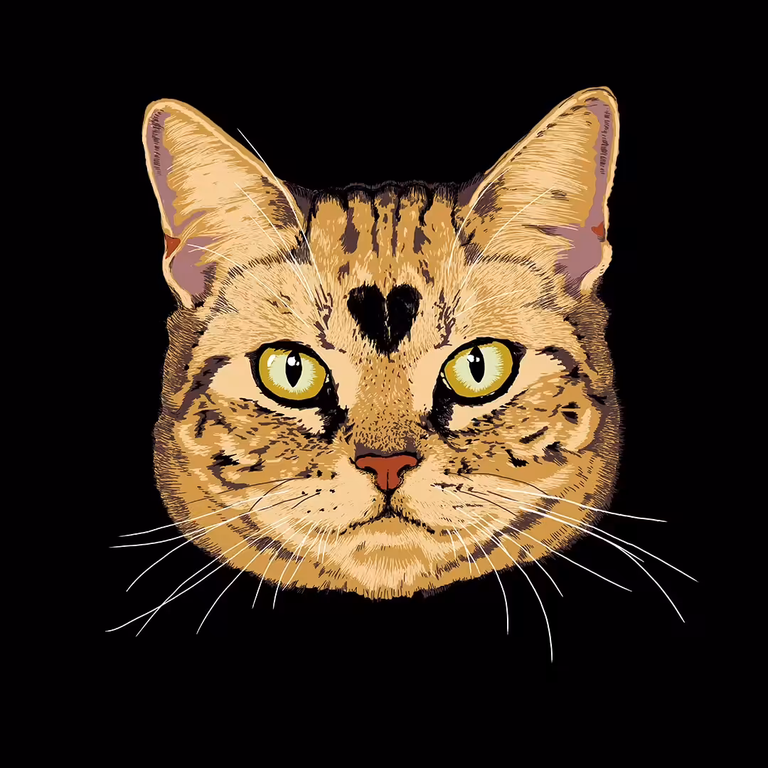 Dead Cat Club